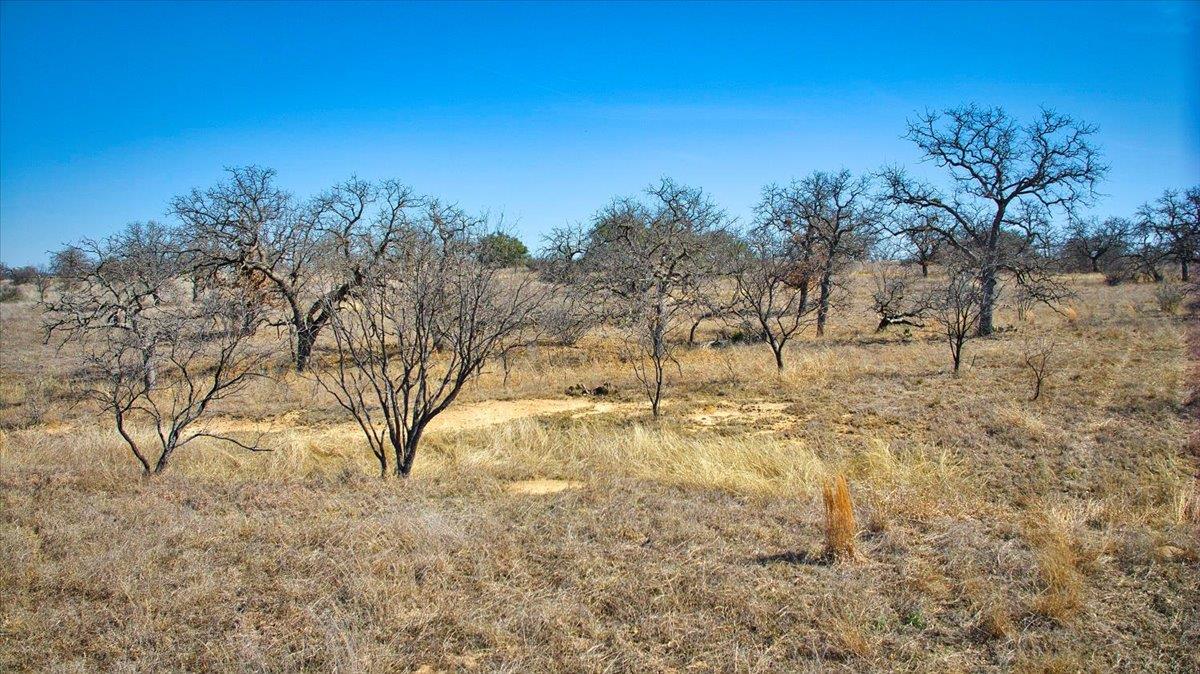 17431 Hickory Grove Dr, Pontotoc, TX 76820