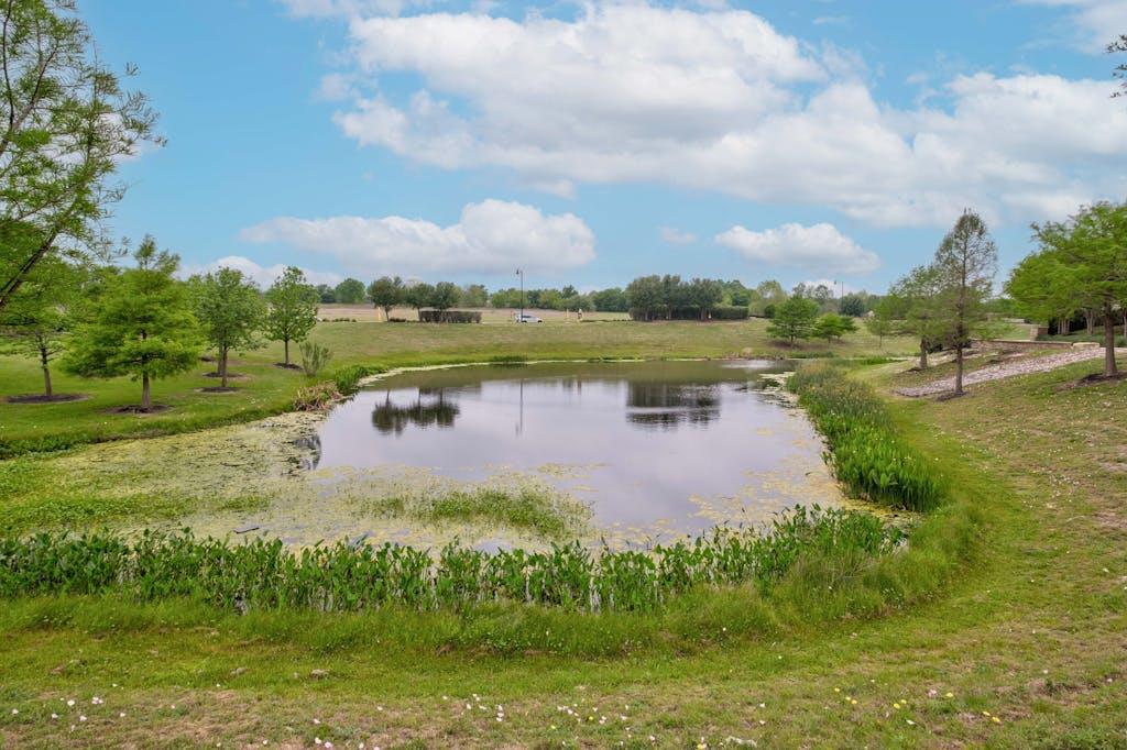 707 Eves Necklace Dr, Buda, TX 78610