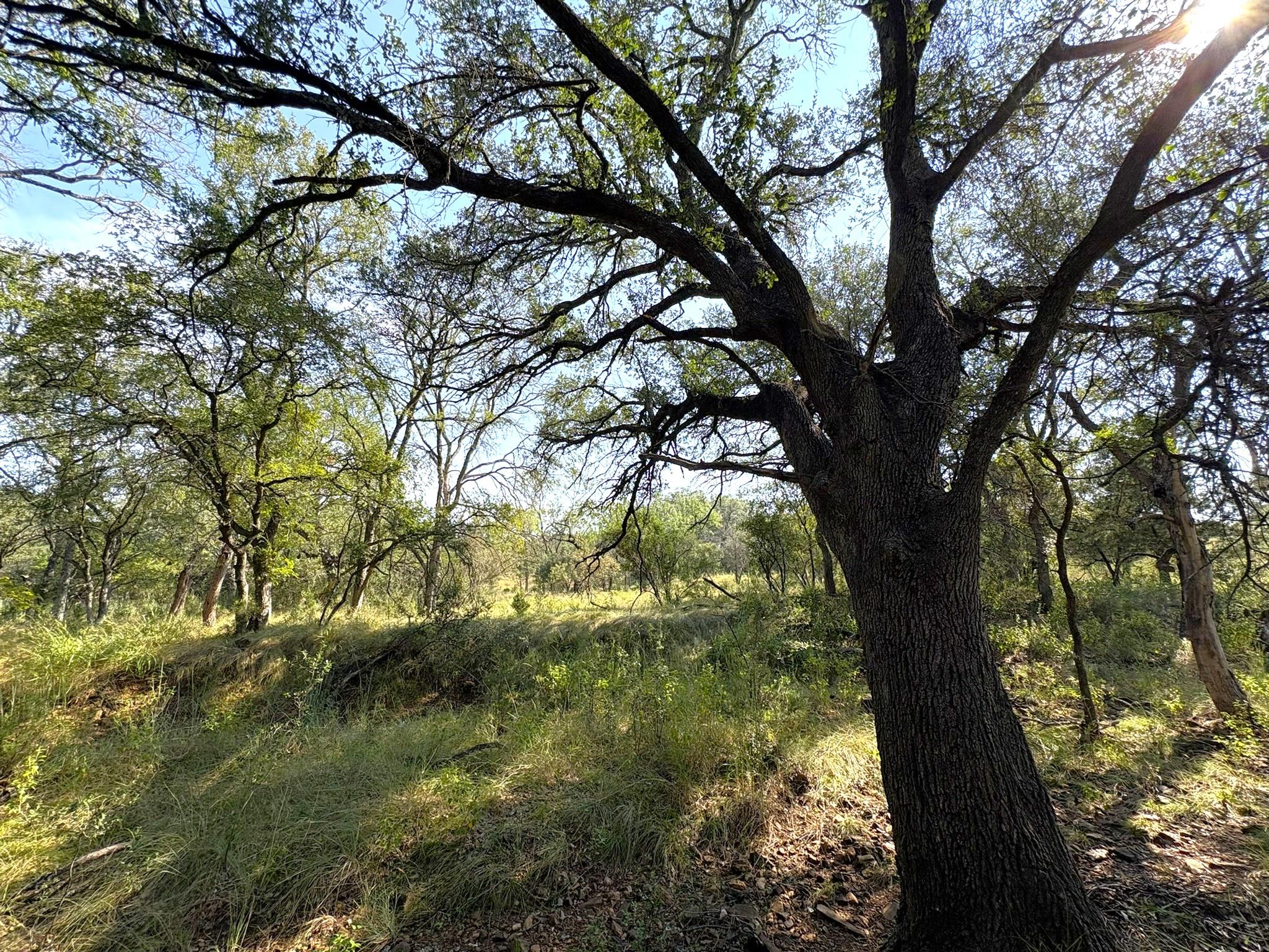 TBD Lot 3 Sandy Mountain, Sunrise Beach, TX 78643