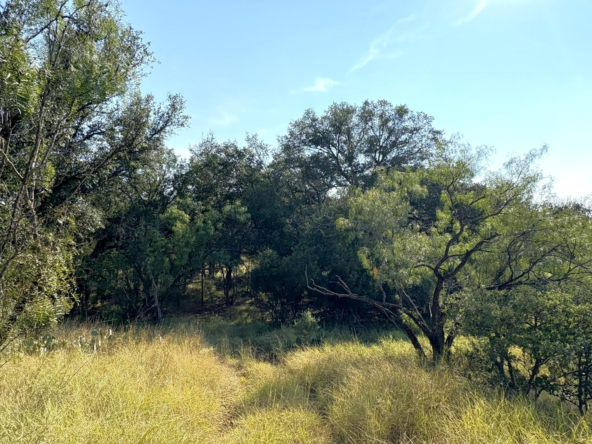 TBD Lot 3 Sandy Mountain, Sunrise Beach, TX 78643