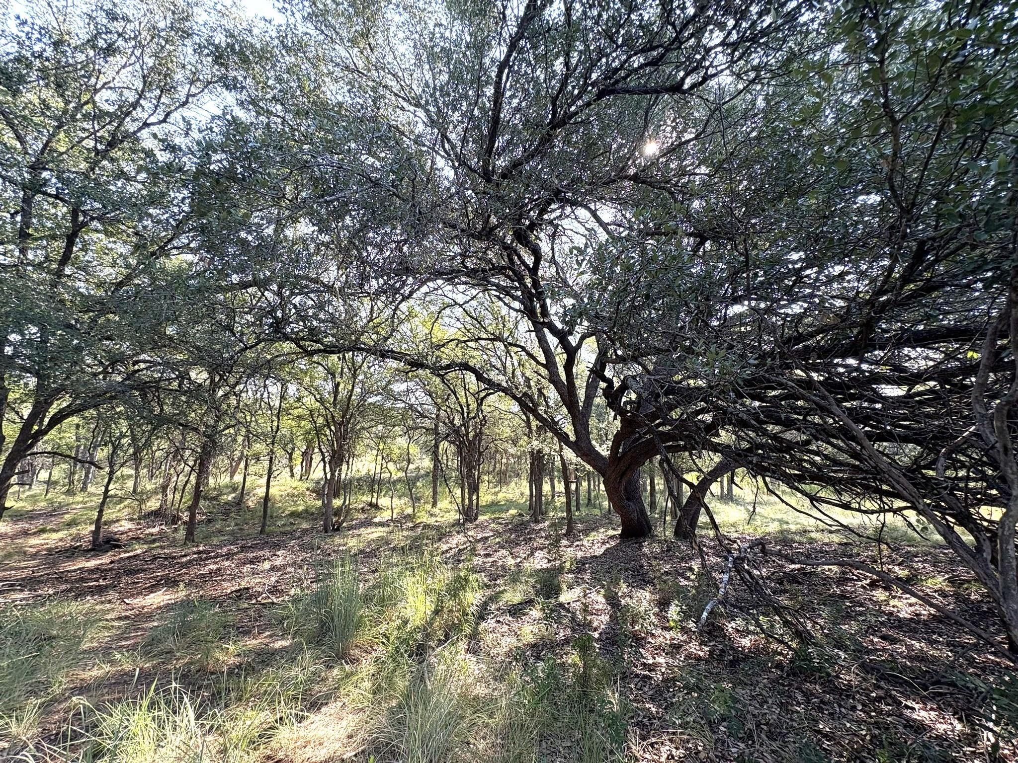 TBD Lot 3 Sandy Mountain, Sunrise Beach, TX 78643