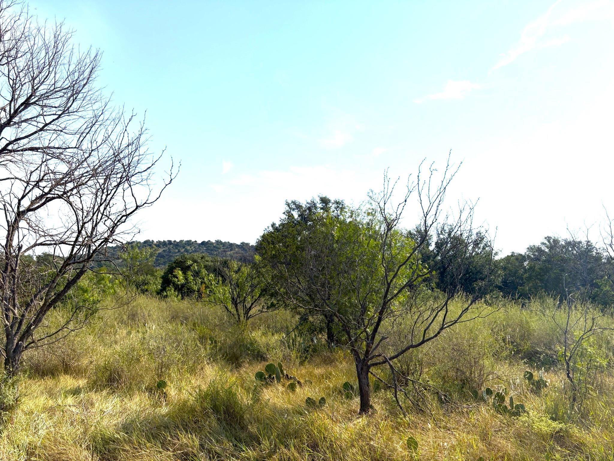 TBD Lot 3 Sandy Mountain, Sunrise Beach, TX 78643