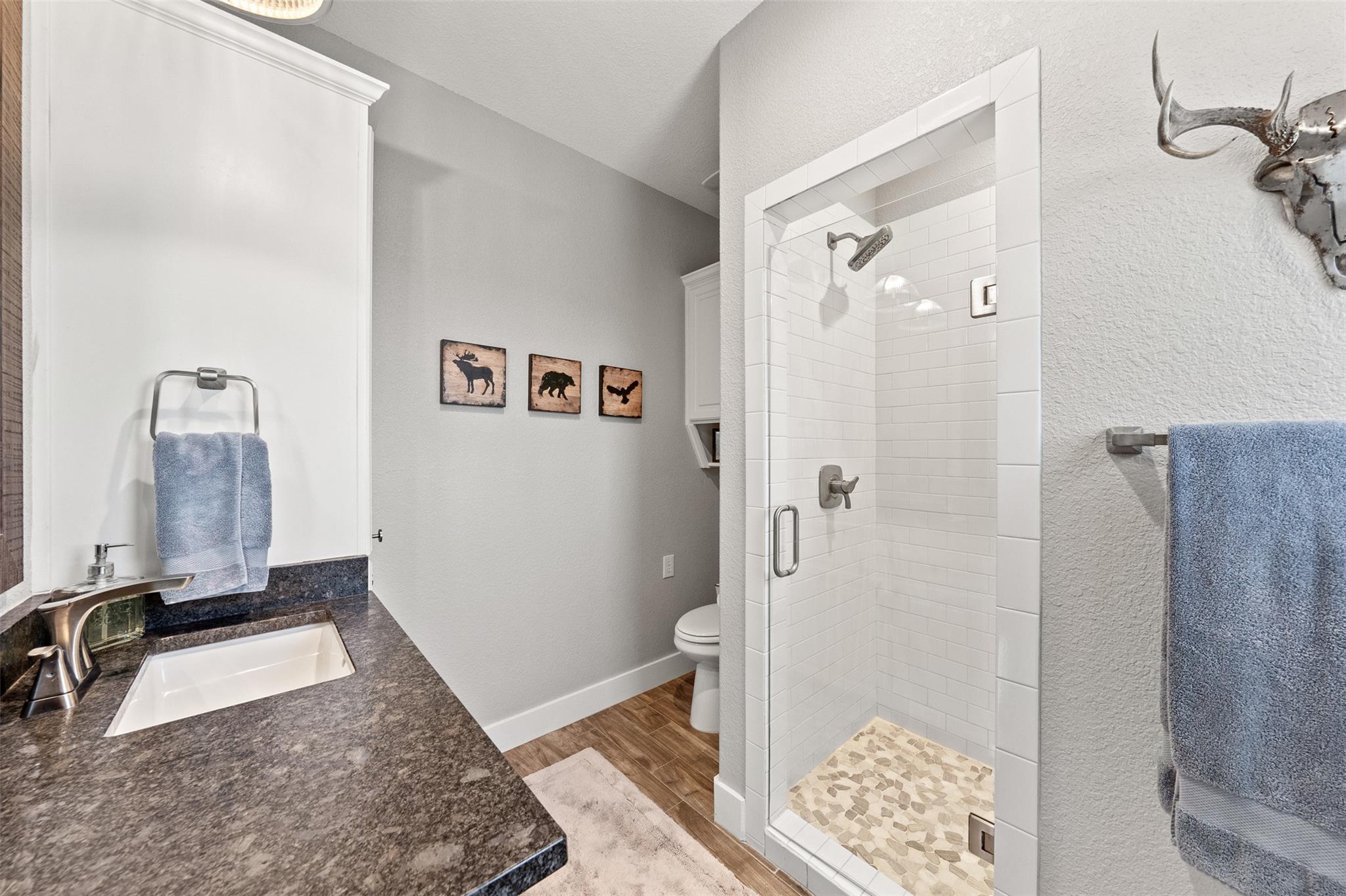 7351 Hackberry Rd. Rd, Holland, TX 76534