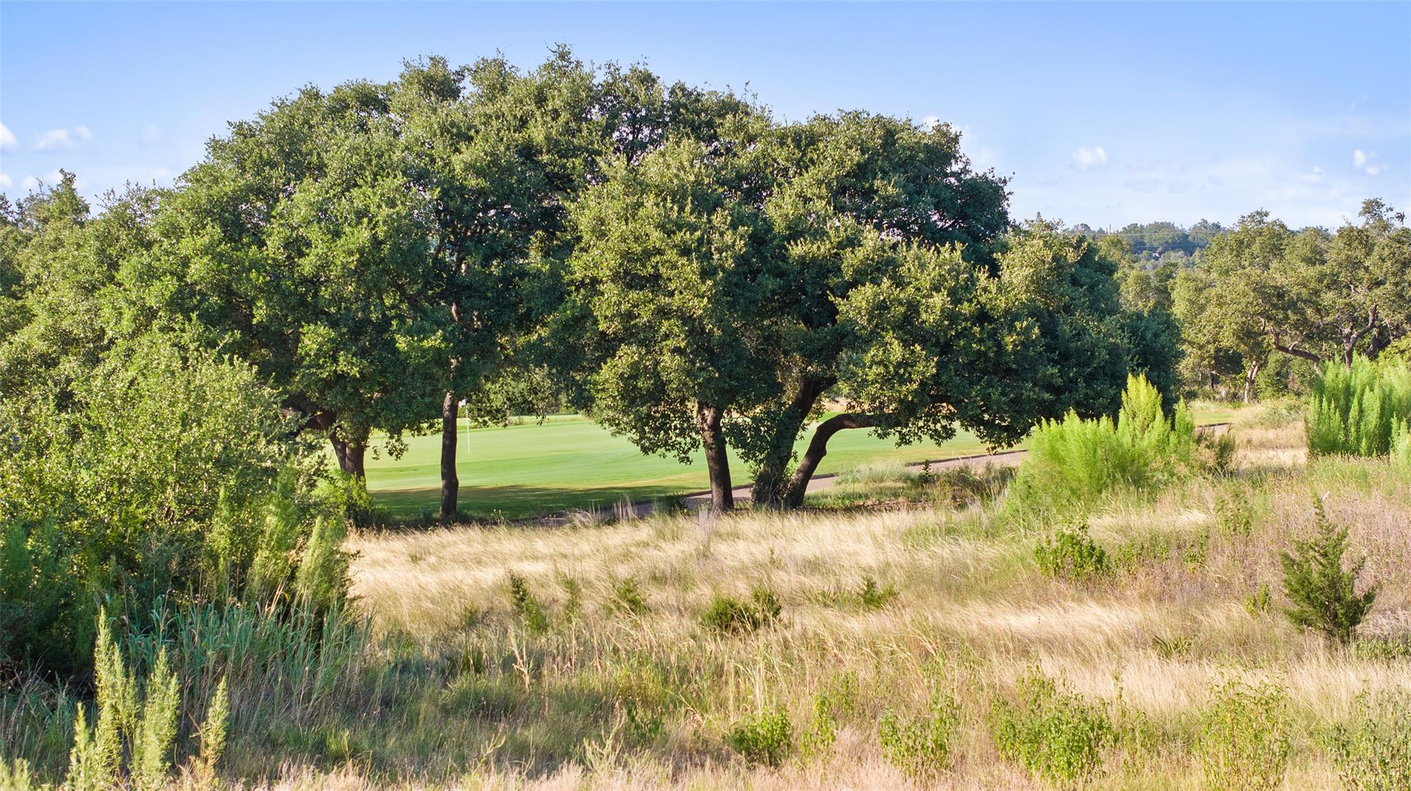 12801 Flowering Senna Bnd, Austin, TX 78738