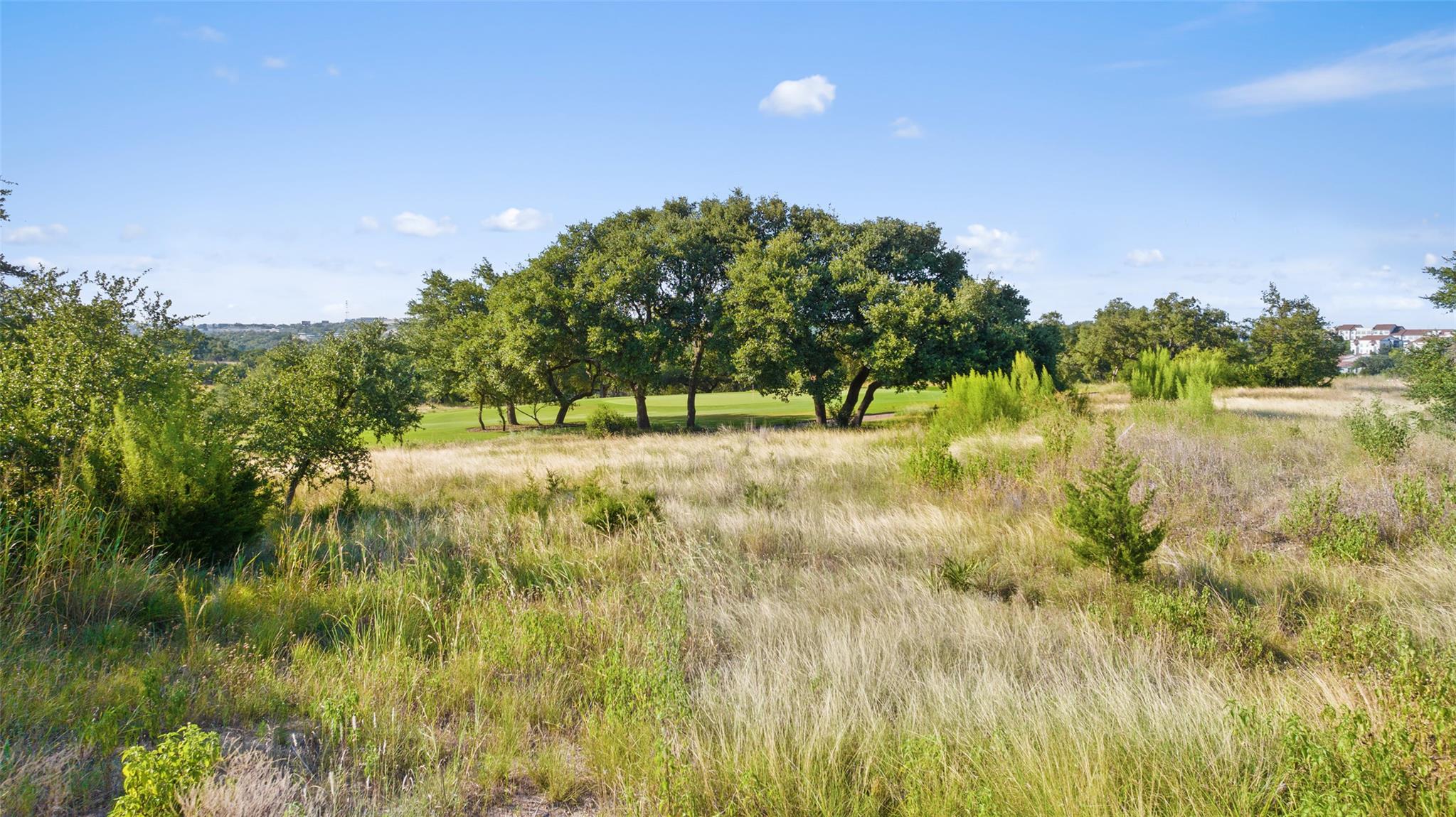12801 Flowering Senna Bnd, Austin, TX 78738