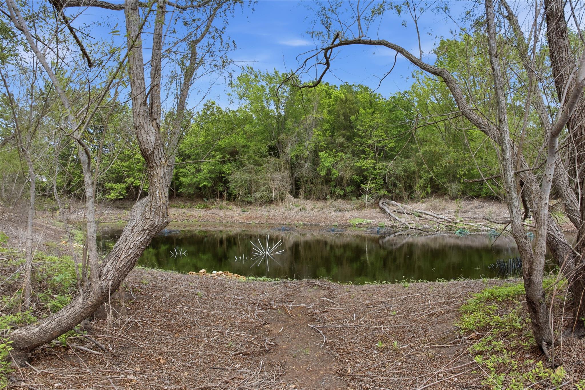 224 Old Coach Ln, Elgin, TX 78621