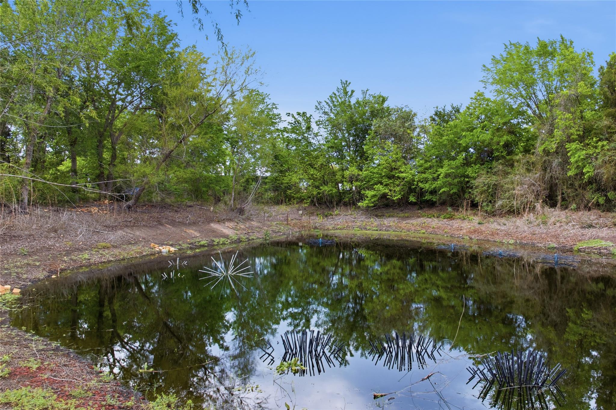 224 Old Coach Ln, Elgin, TX 78621