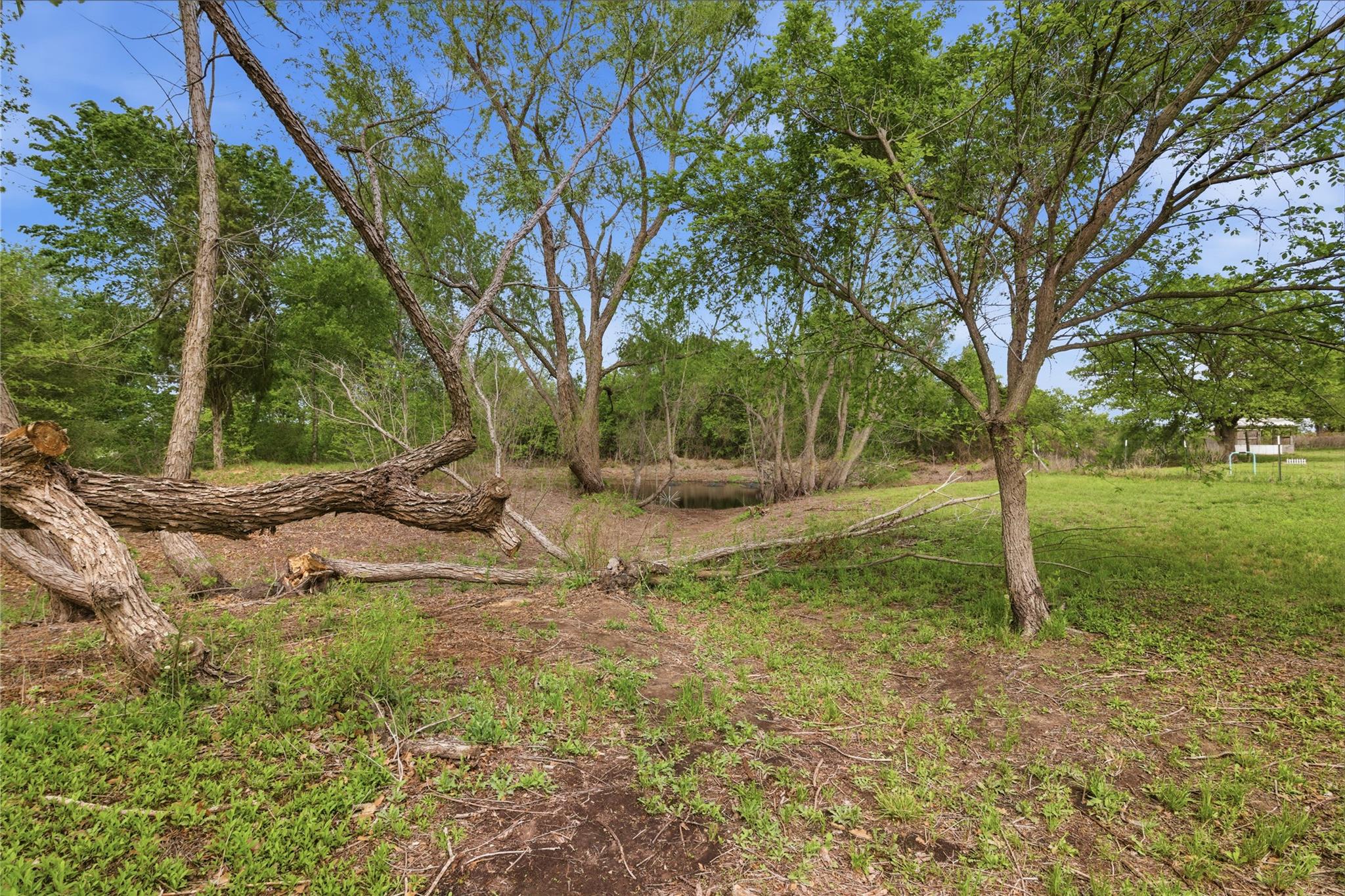 224 Old Coach Ln, Elgin, TX 78621