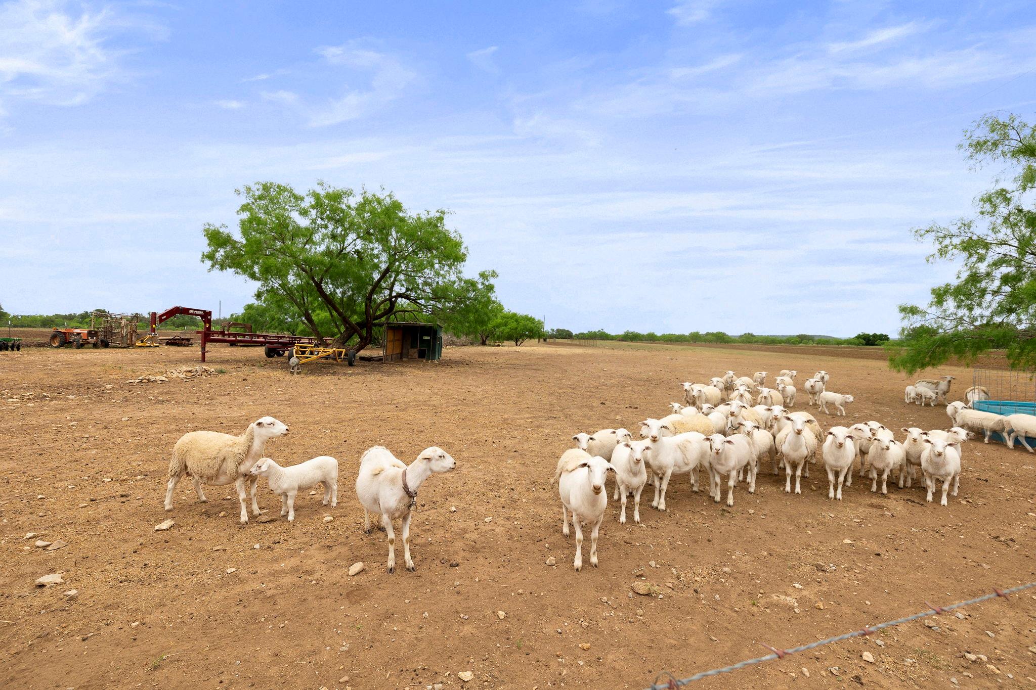 10700 County Road 202, Brownwood, TX 76801