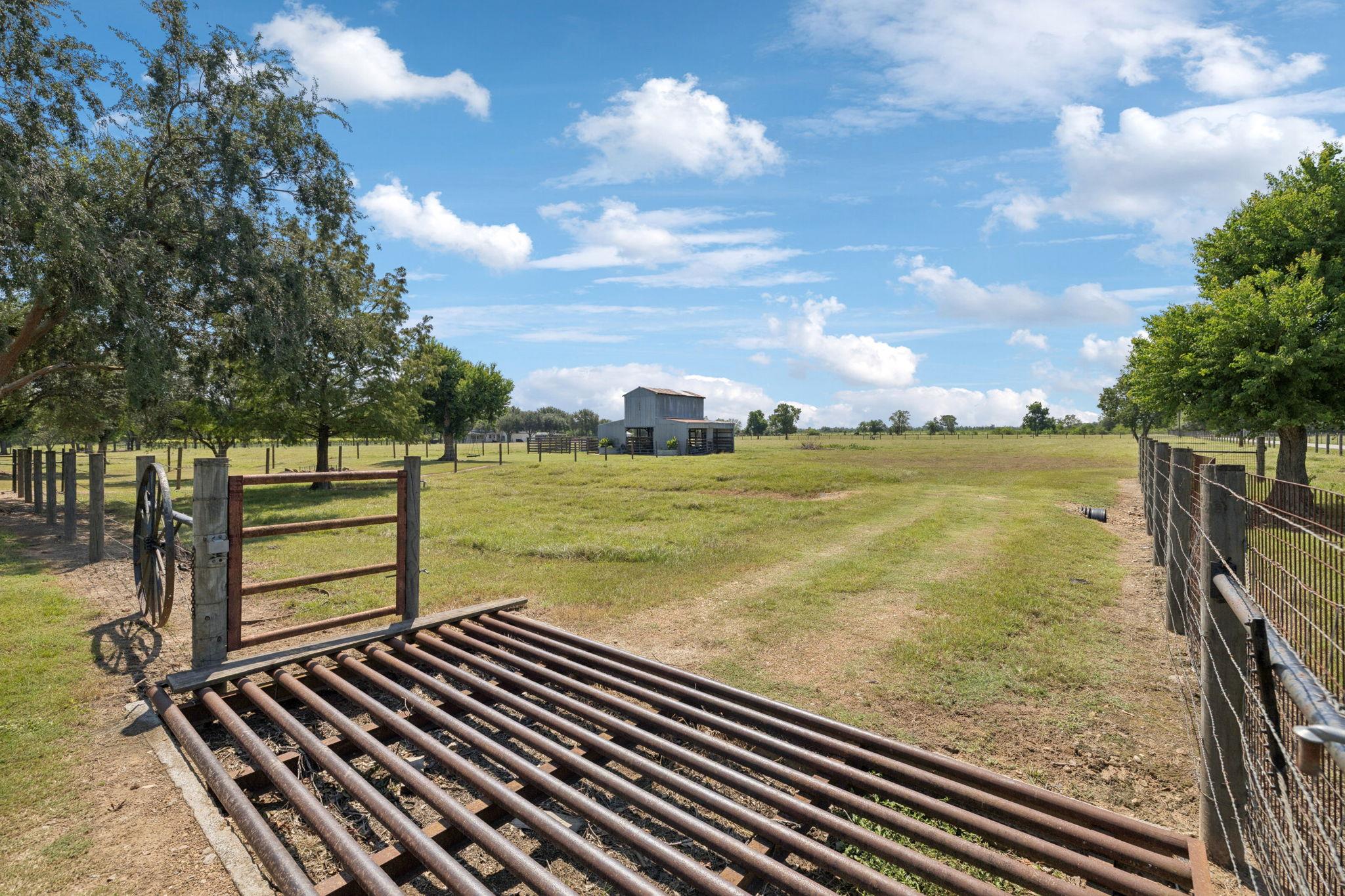 31229 Rochen Rd, Waller, TX 77484
