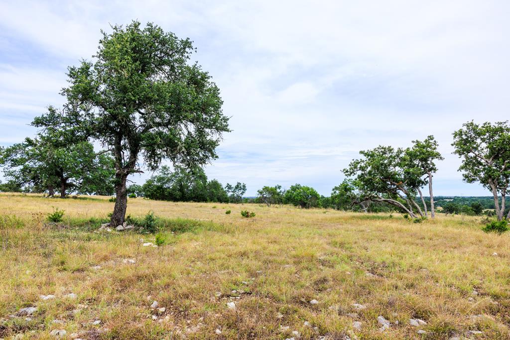 Lot 41 Buckskin Path Path, Fredericksburg, TX 78624