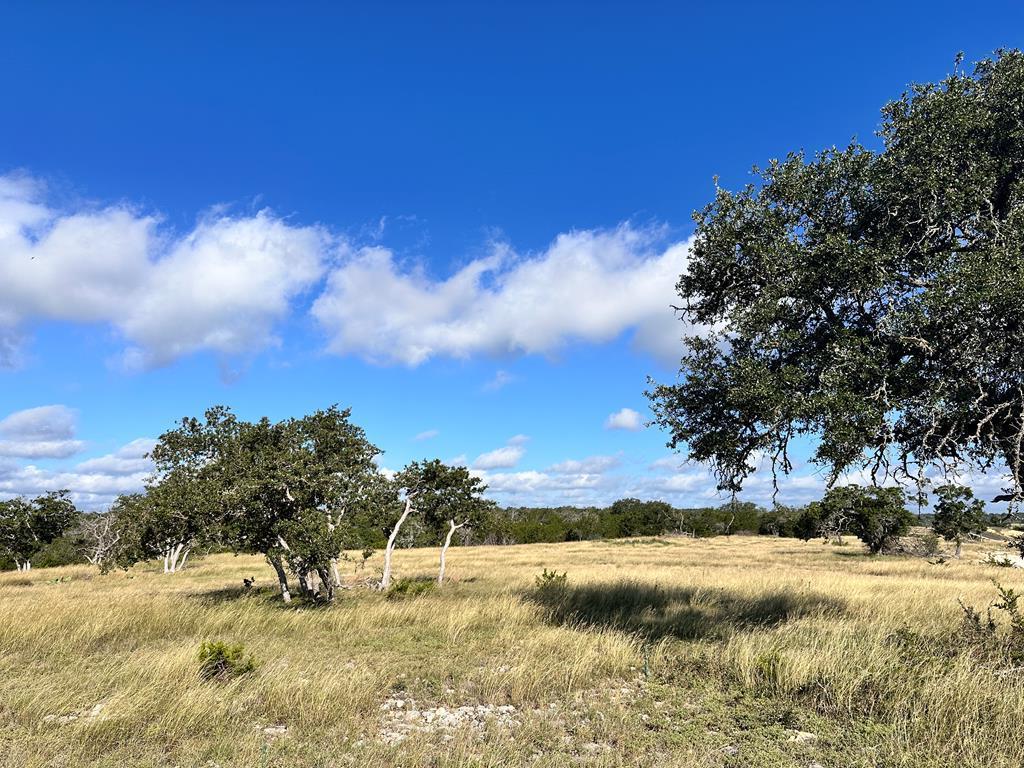 Lot 41 Buckskin Path Path, Fredericksburg, TX 78624