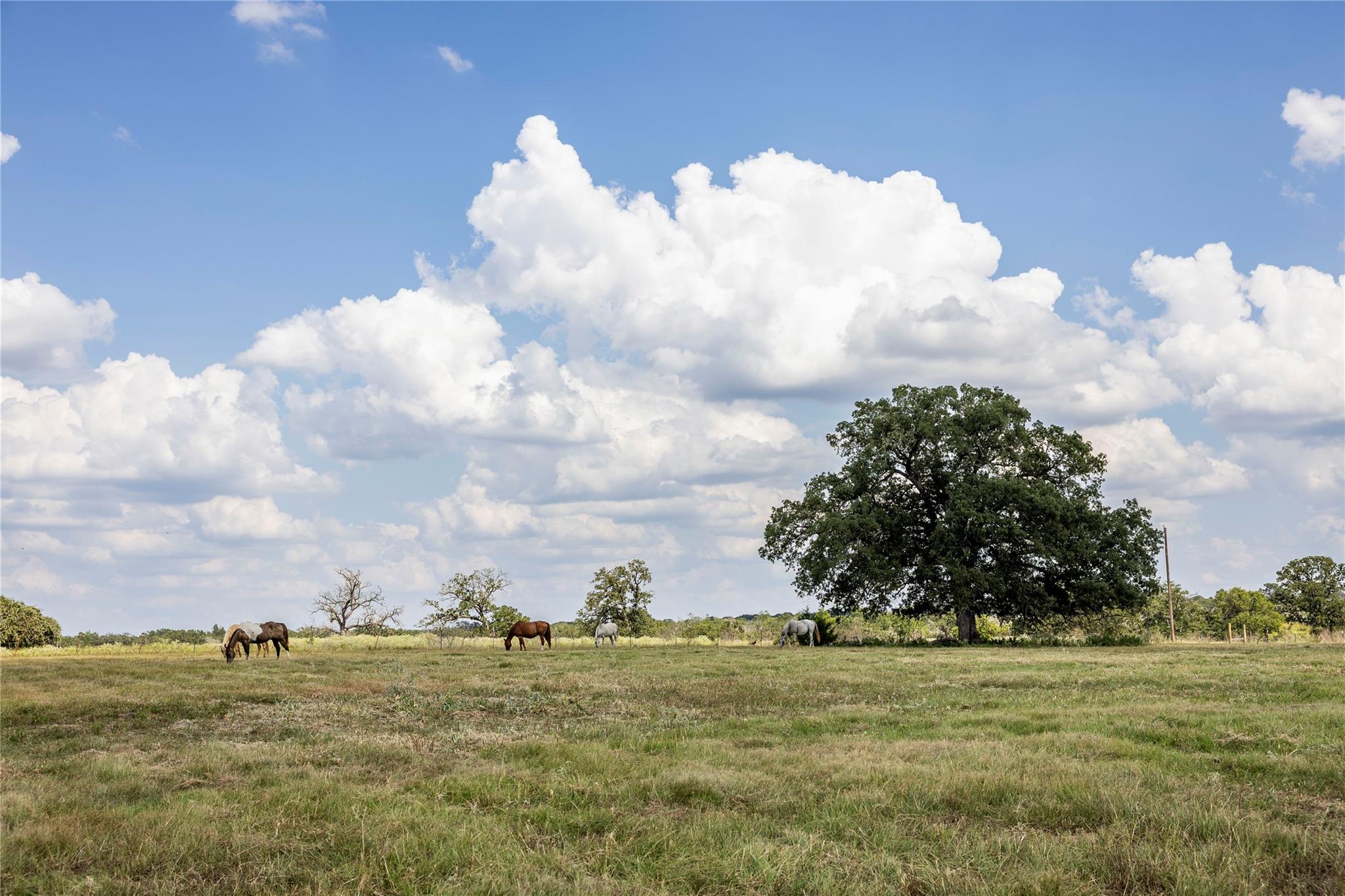 TBD County Road 315, Lexington, TX 78947