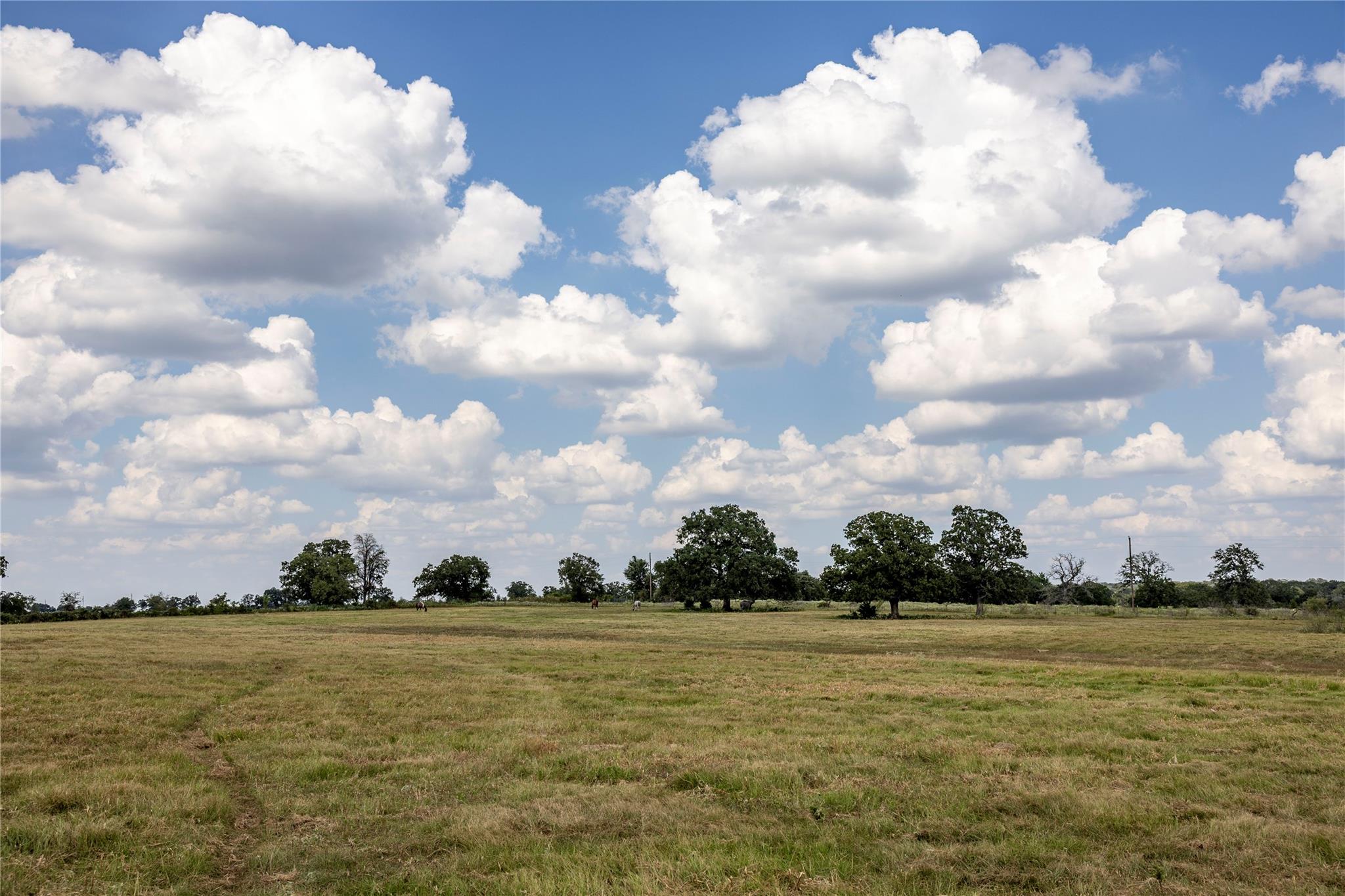 TBD County Road 315, Lexington, TX 78947