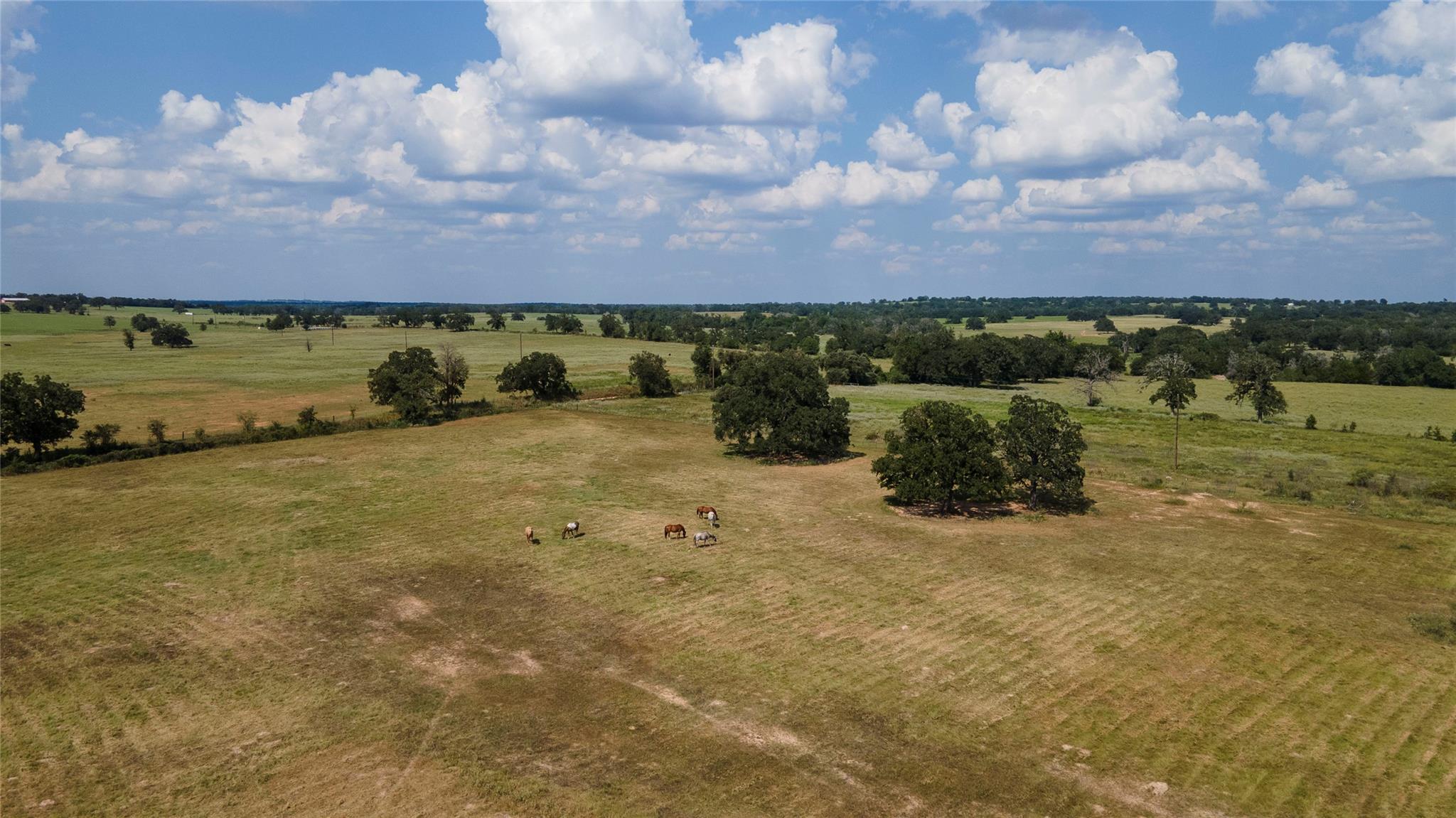 TBD County Road 315, Lexington, TX 78947