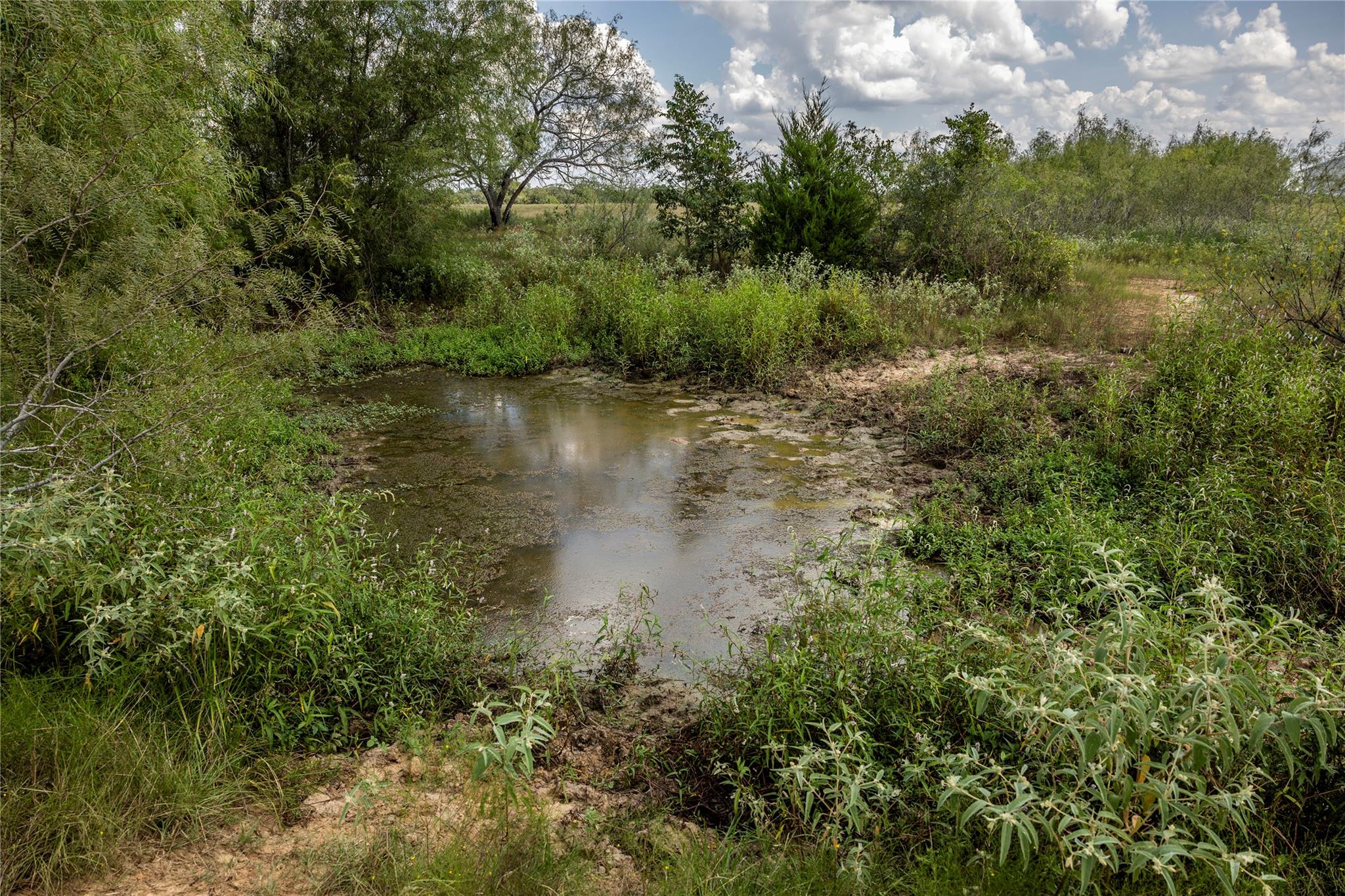 TBD County Road 315, Lexington, TX 78947