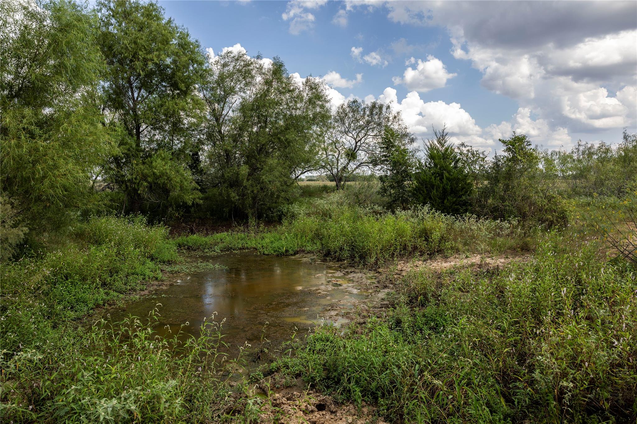 TBD County Road 315, Lexington, TX 78947