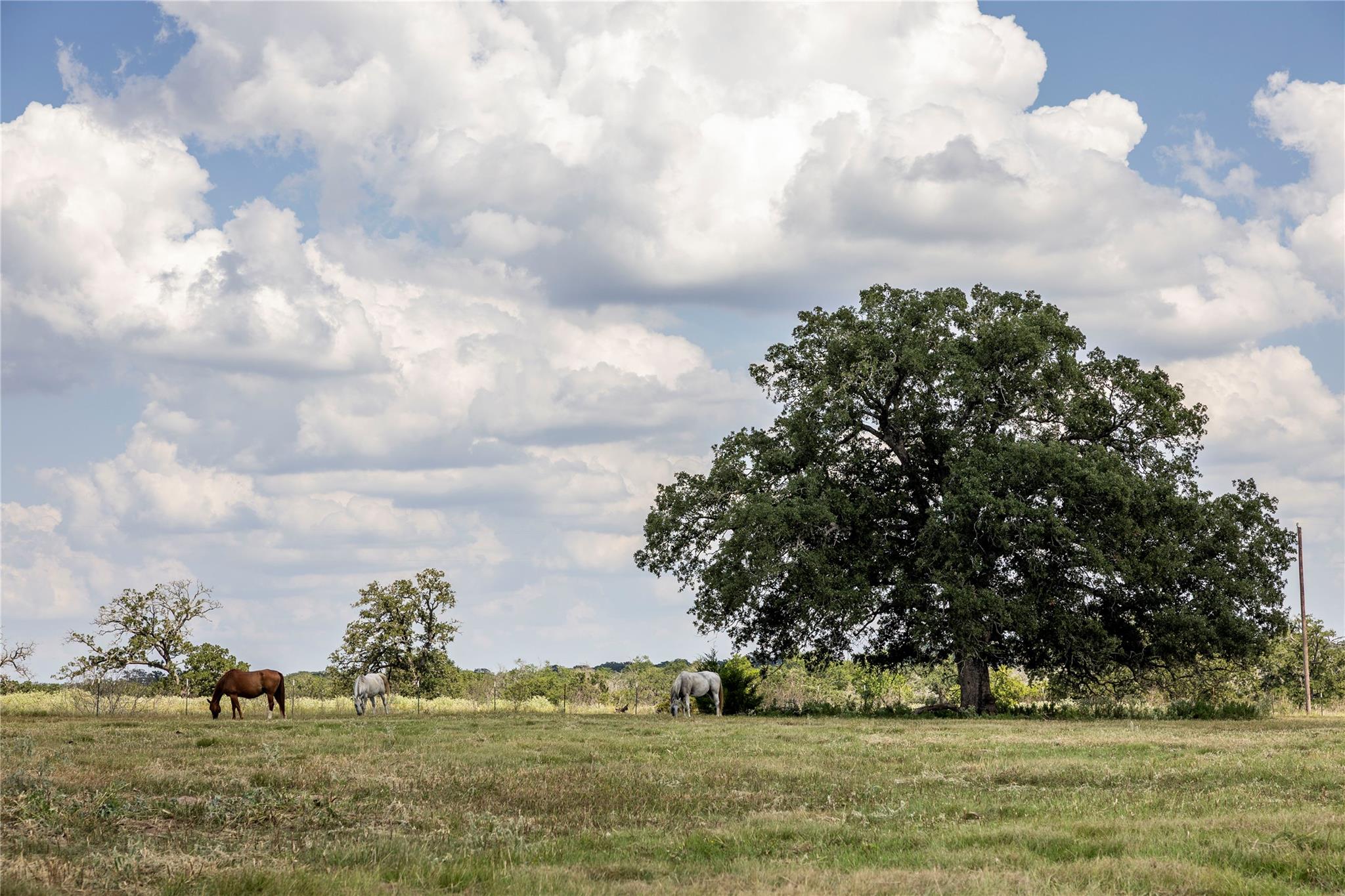 TBD County Road 315, Lexington, TX 78947