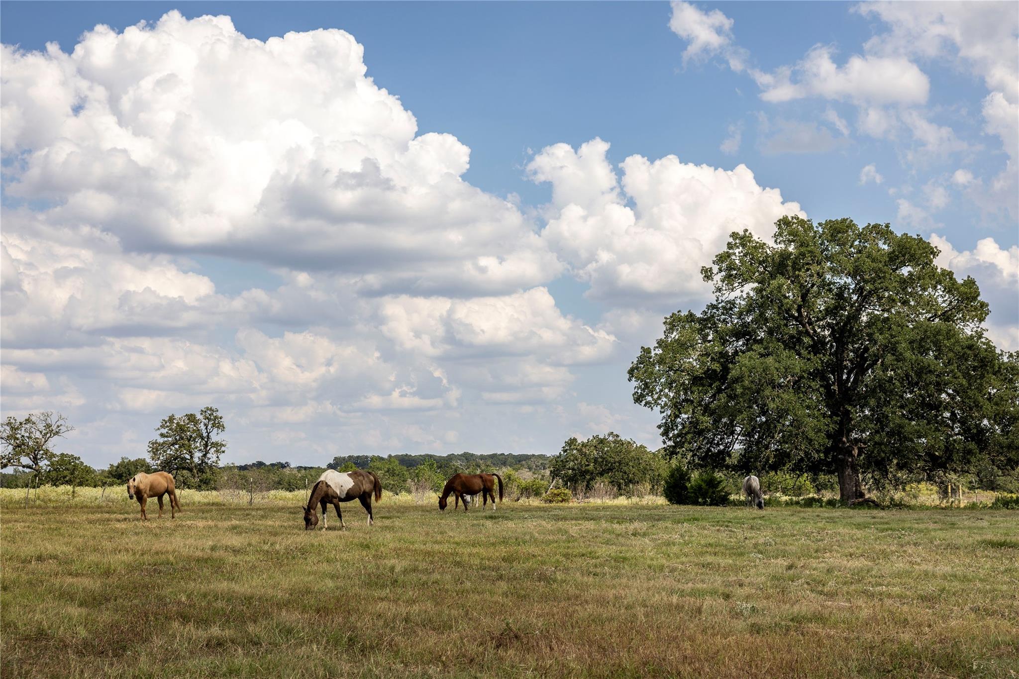 TBD County Road 315, Lexington, TX 78947