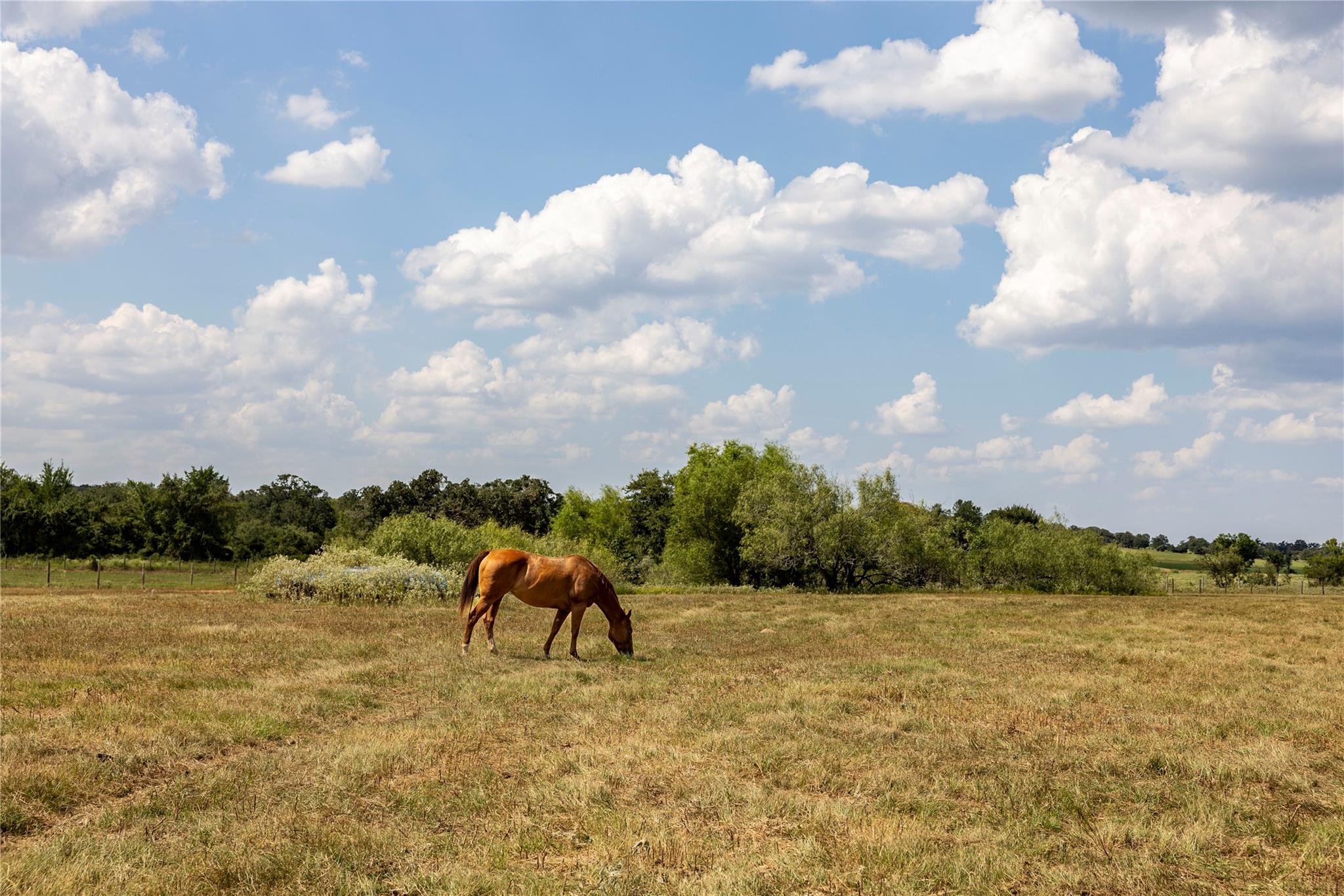 TBD County Road 315, Lexington, TX 78947