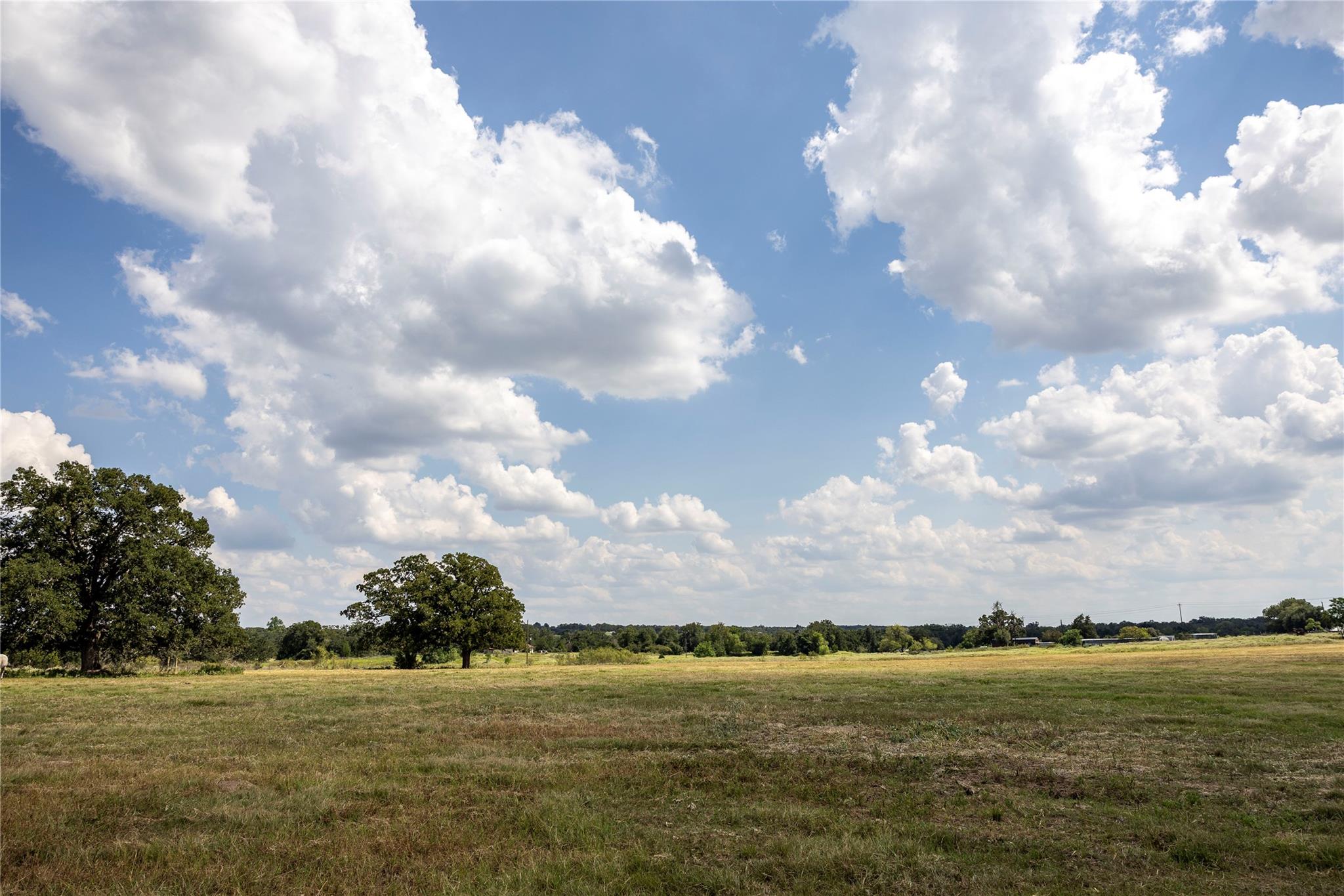 TBD County Road 315, Lexington, TX 78947