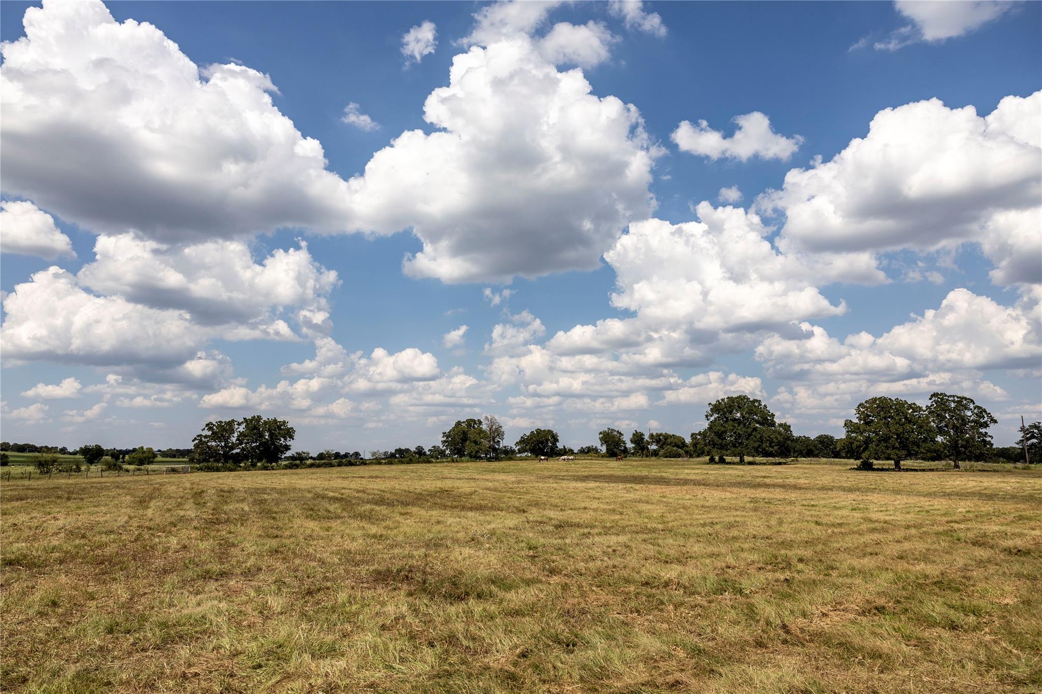 TBD County Road 315, Lexington, TX 78947