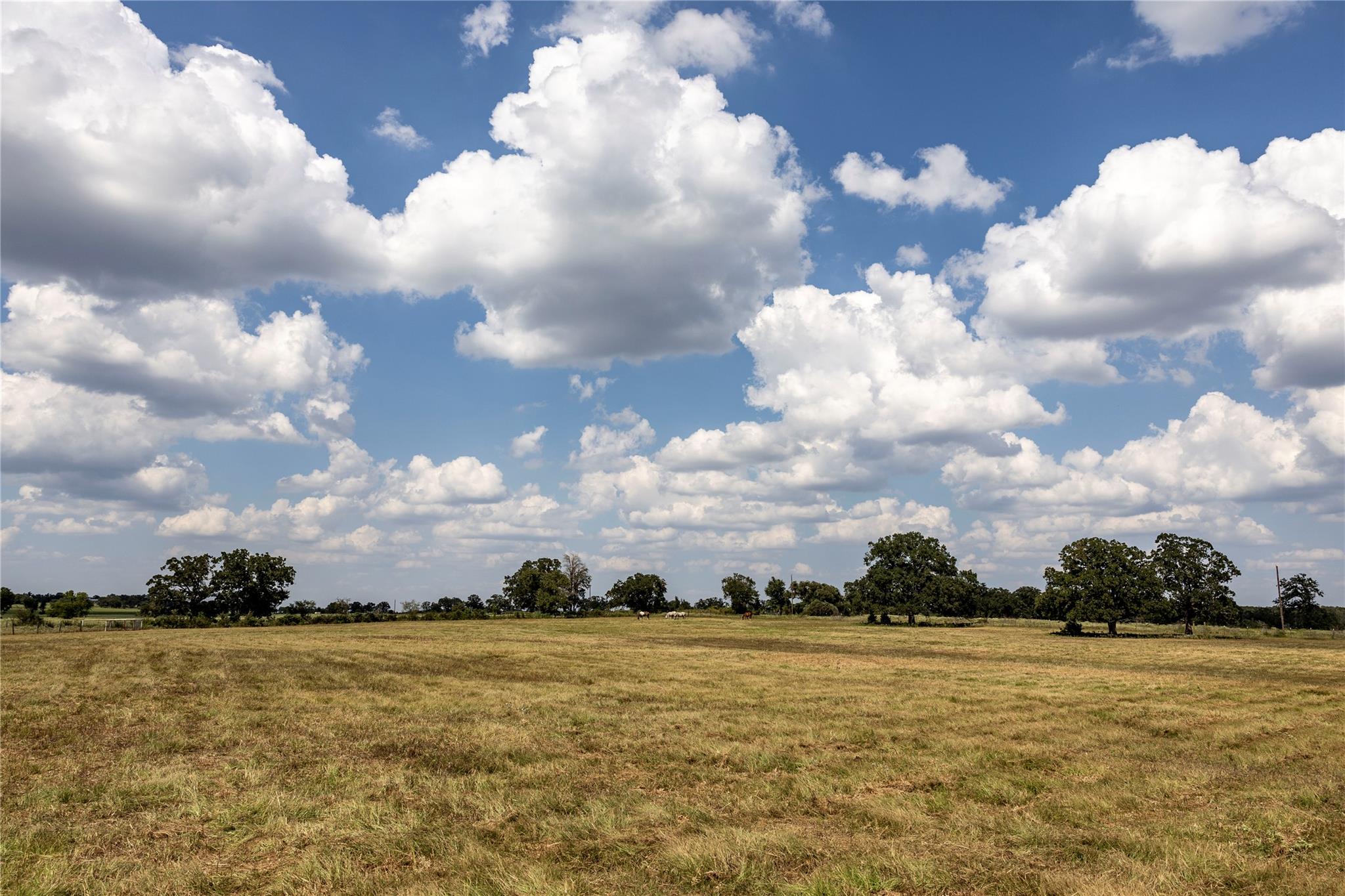 TBD County Road 315, Lexington, TX 78947