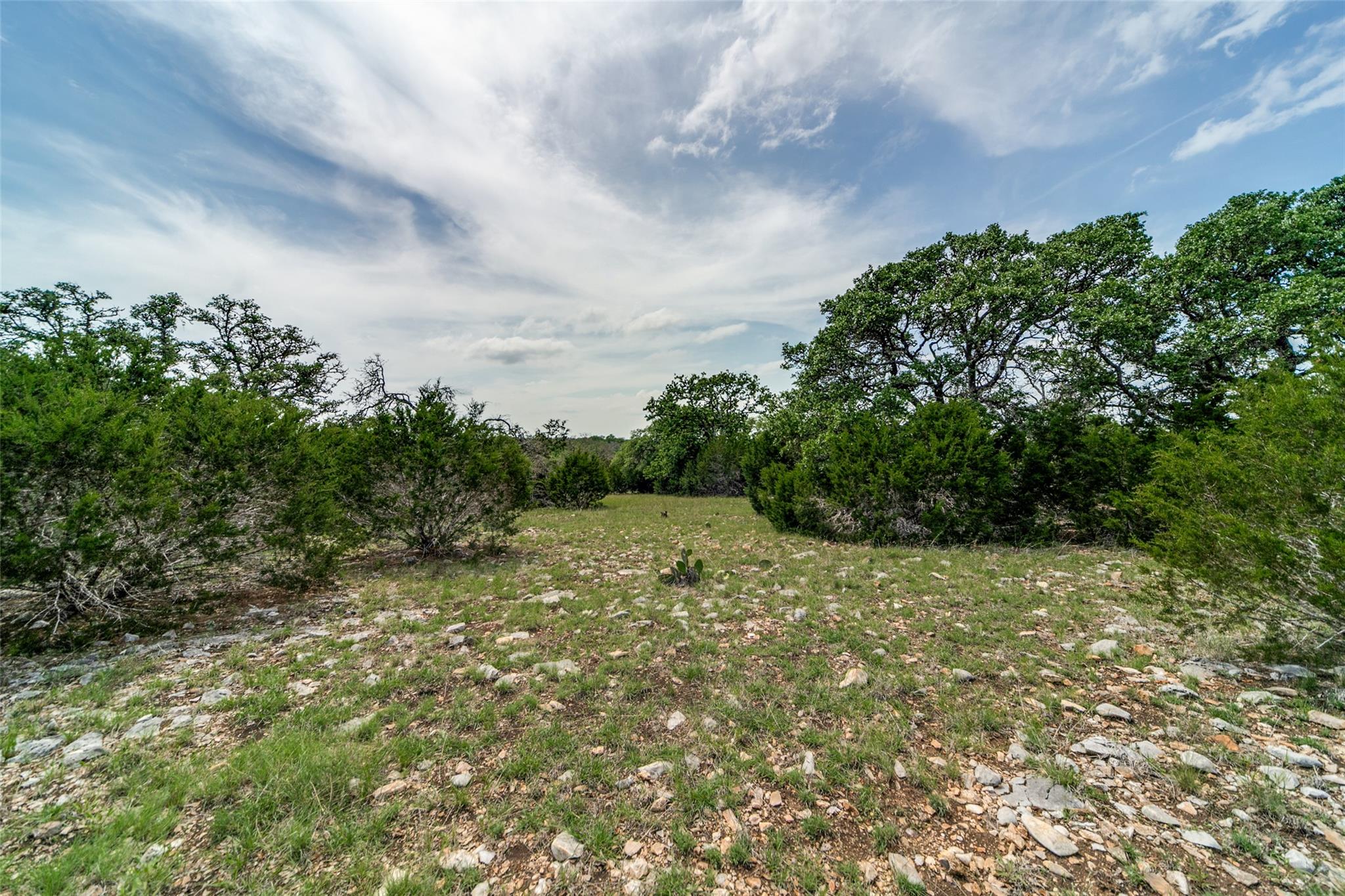 645 Arthur Ave Ave, Fredericksburg, TX 78624