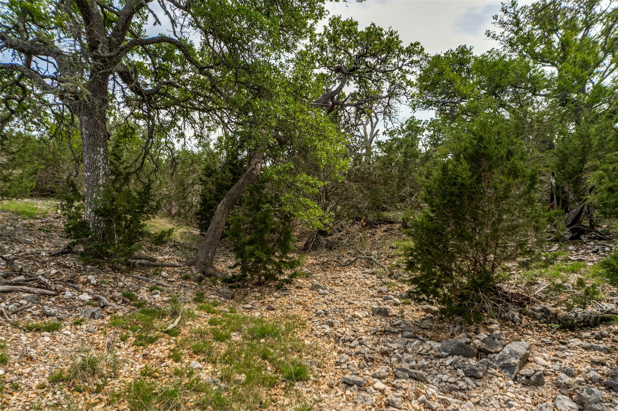 645 Arthur Ave Ave, Fredericksburg, TX 78624