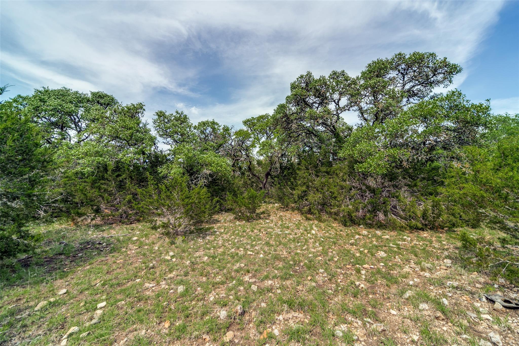 645 Arthur Ave Ave, Fredericksburg, TX 78624
