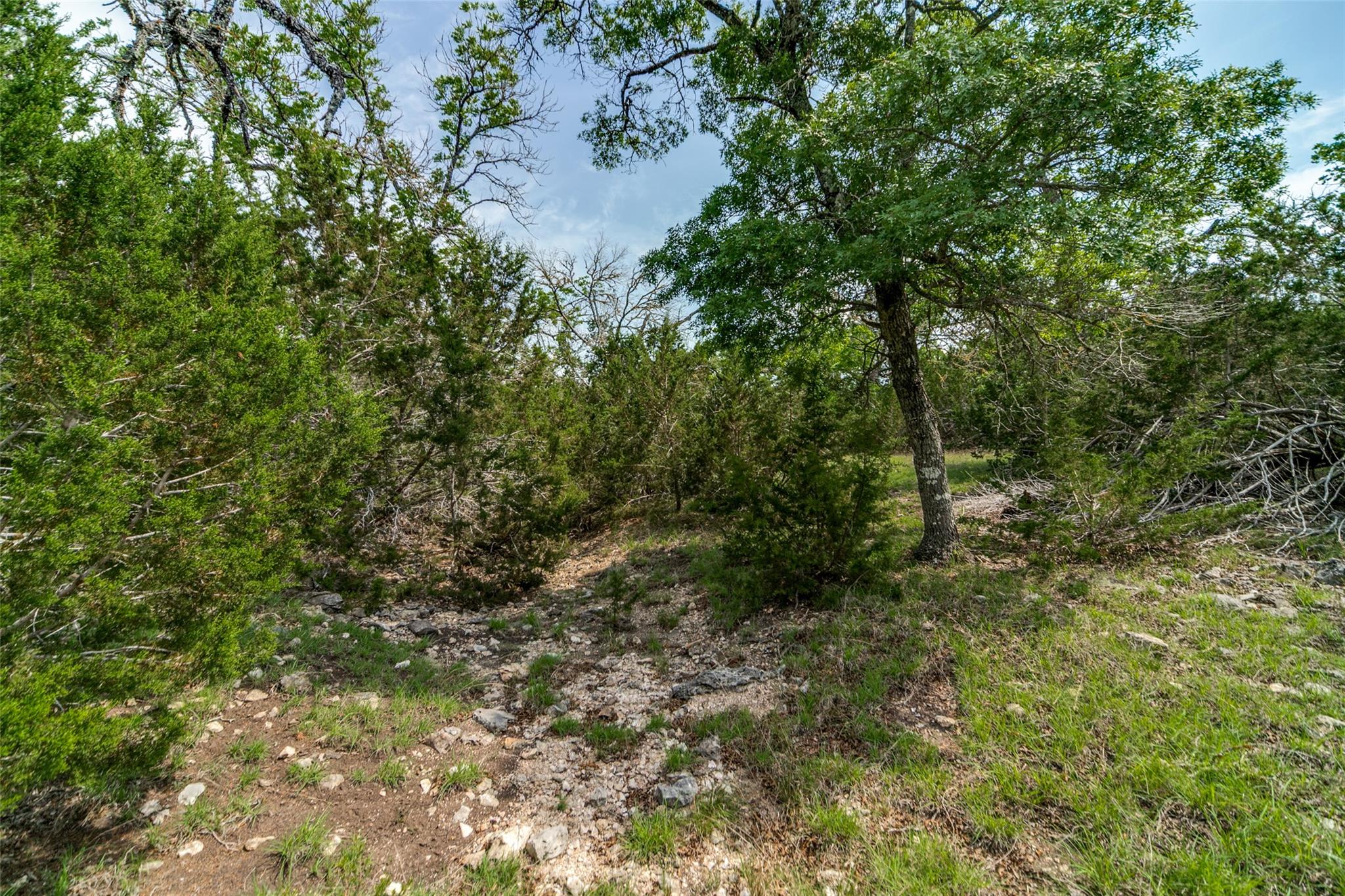 645 Arthur Ave Ave, Fredericksburg, TX 78624