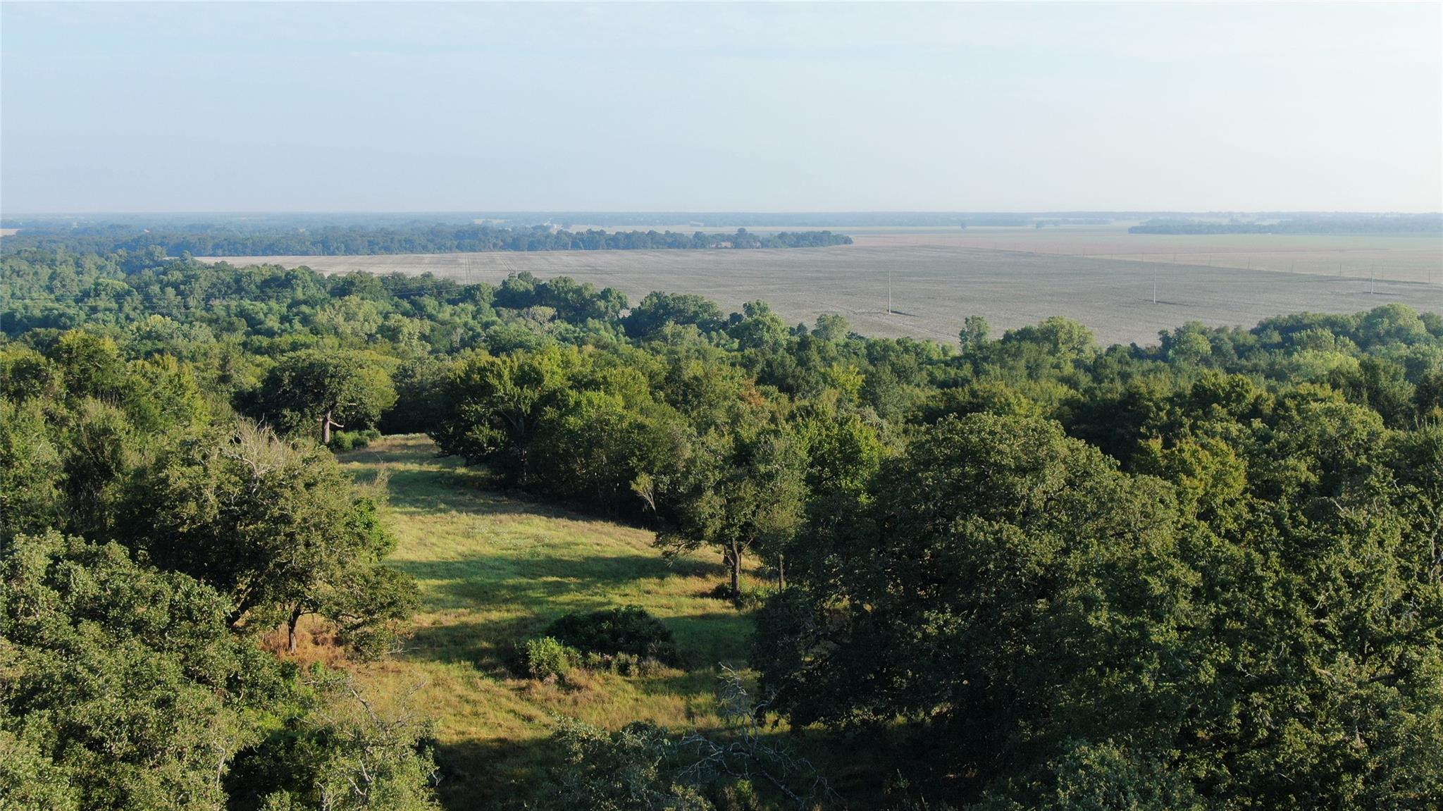 11789 Fm-2095 Highway, Gause, TX 77857