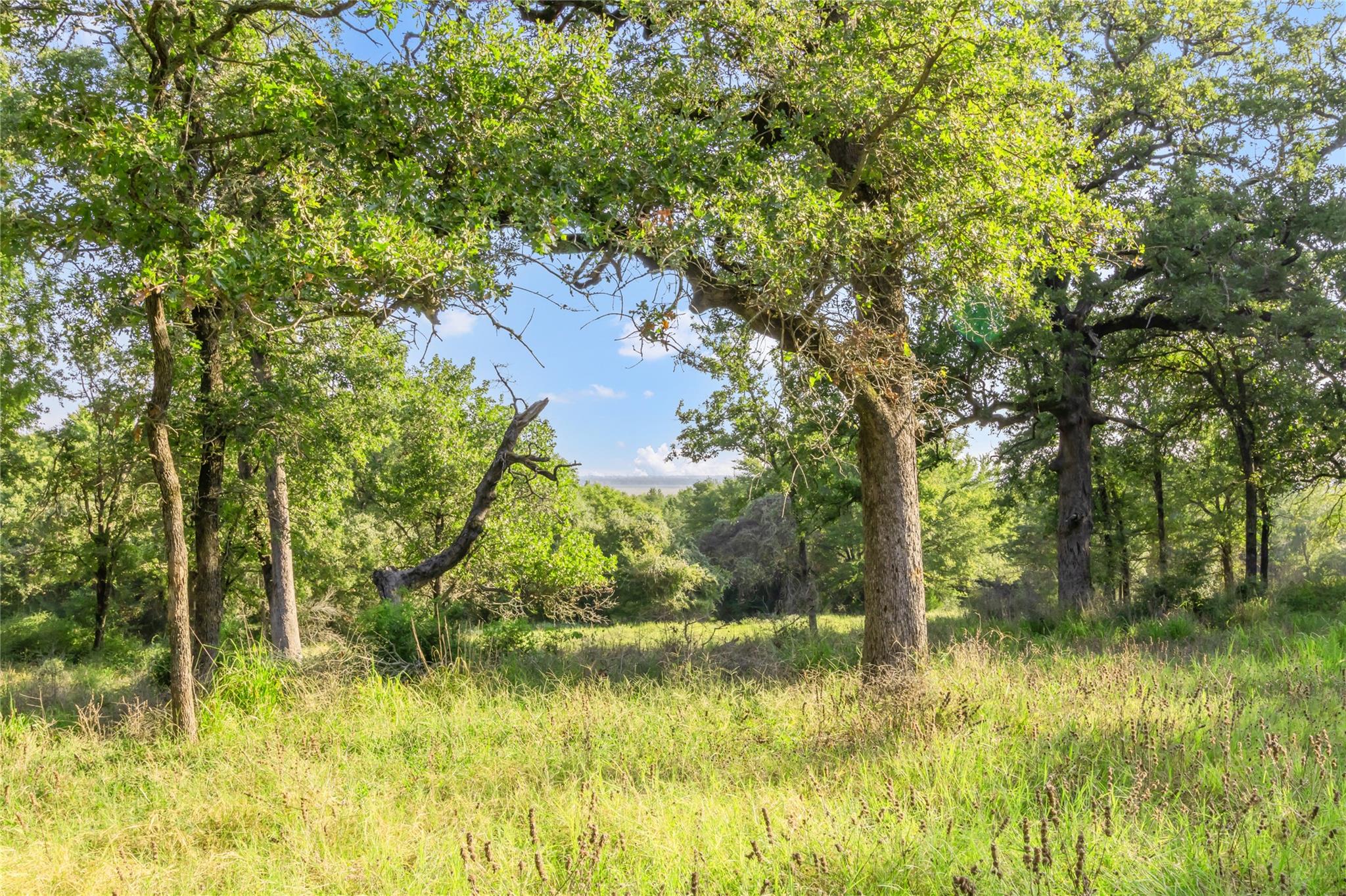 11789 Fm-2095 Highway, Gause, TX 77857