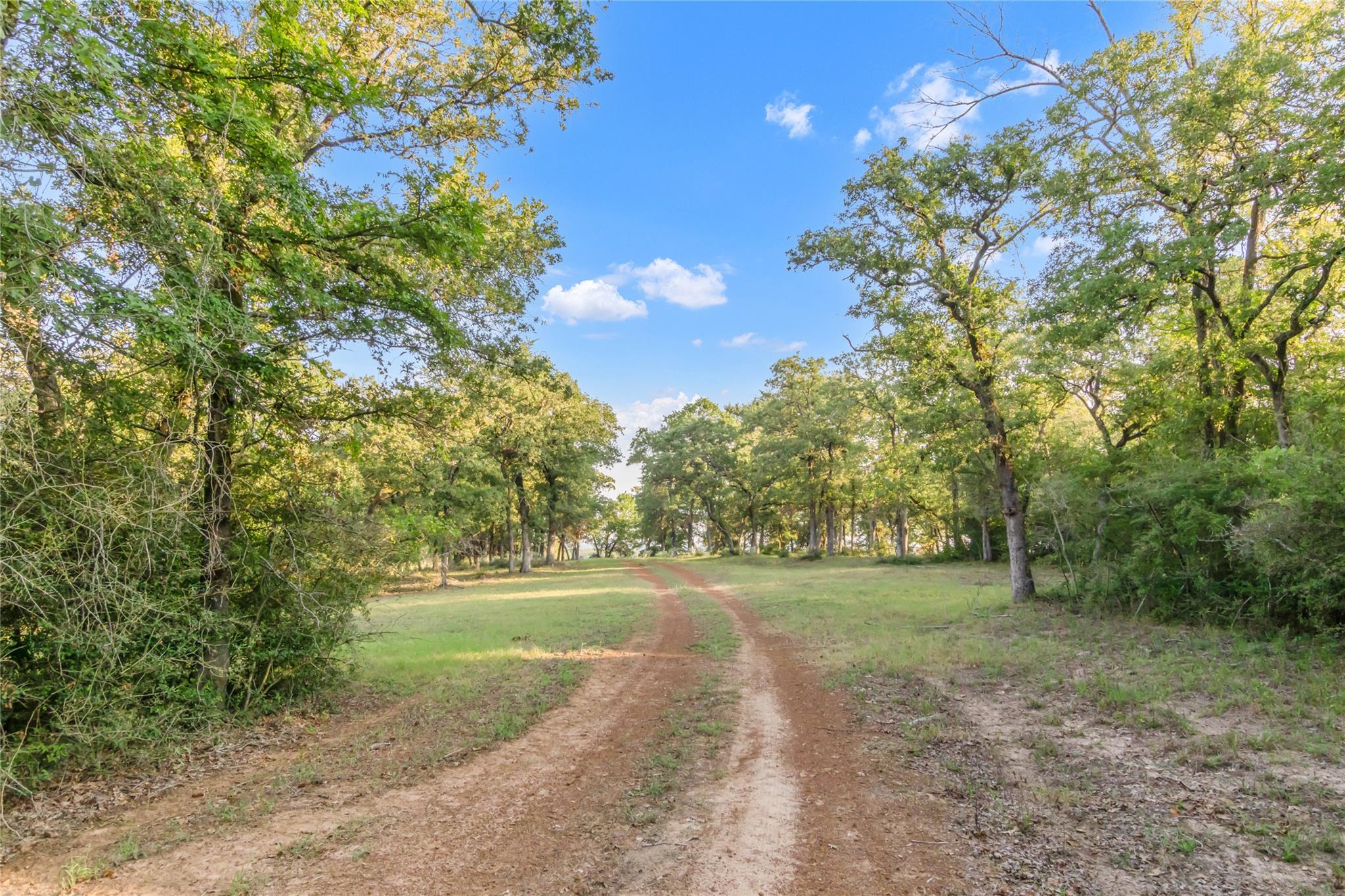 11789 Fm-2095 Highway, Gause, TX 77857