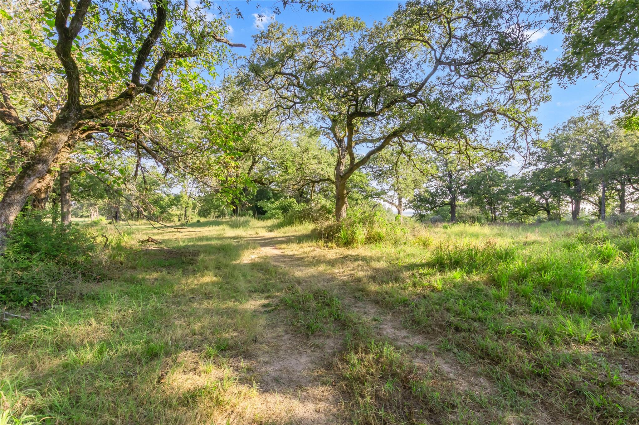 11789 Fm-2095 Highway, Gause, TX 77857