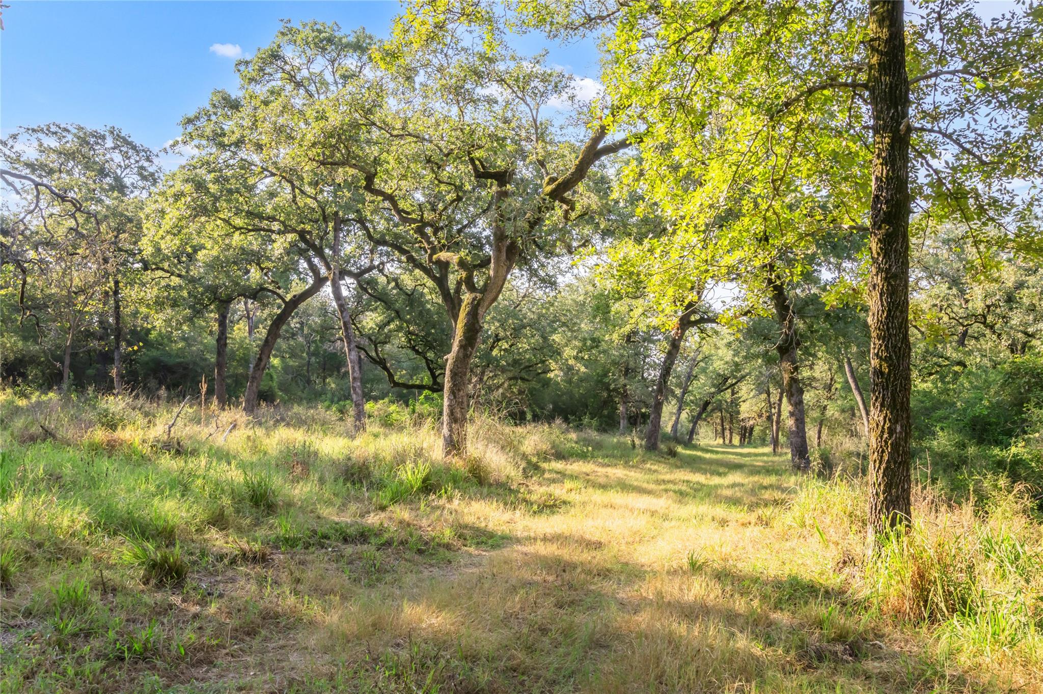 11789 Fm-2095 Highway, Gause, TX 77857