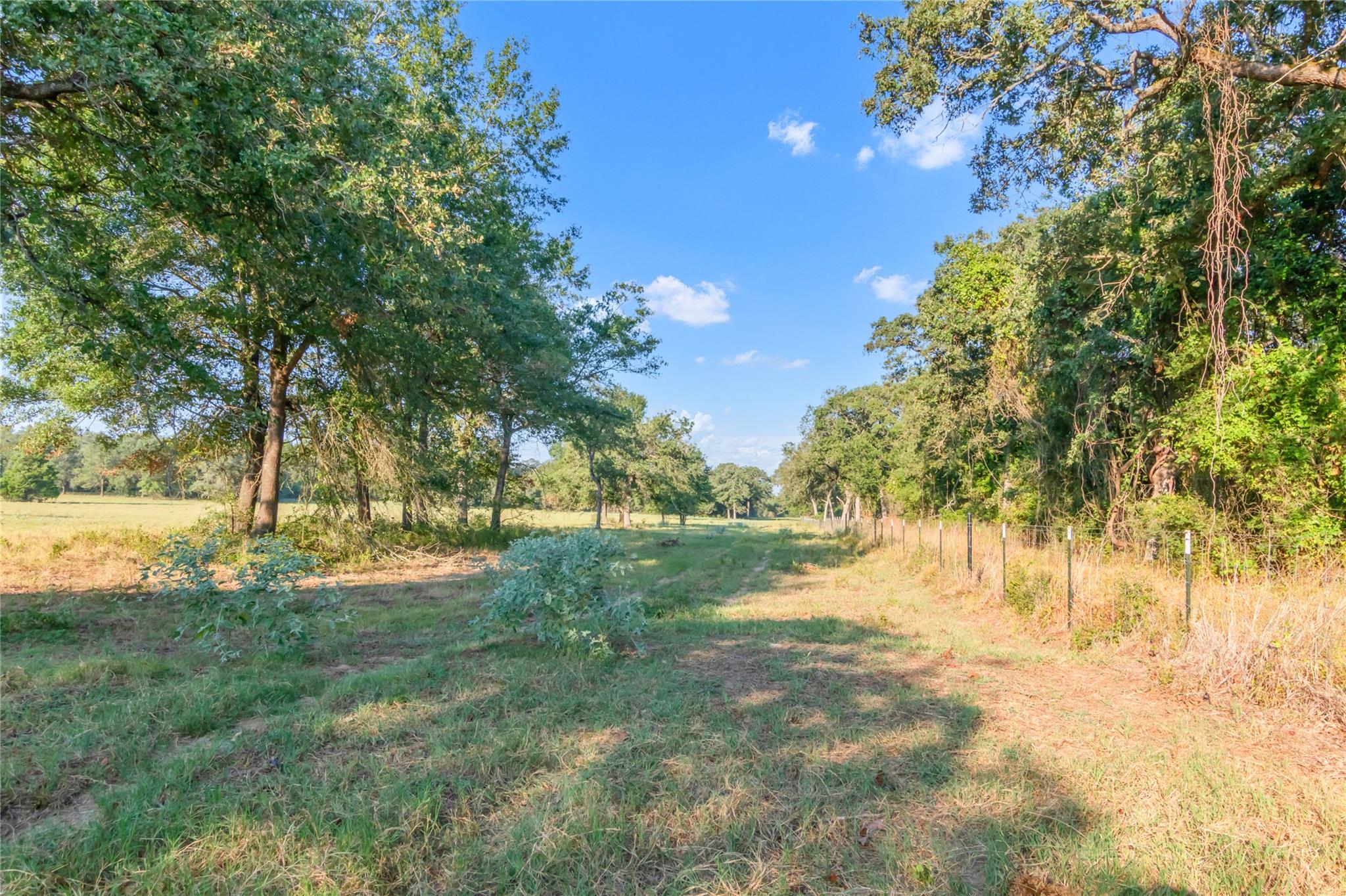 11789 Fm-2095 Highway, Gause, TX 77857