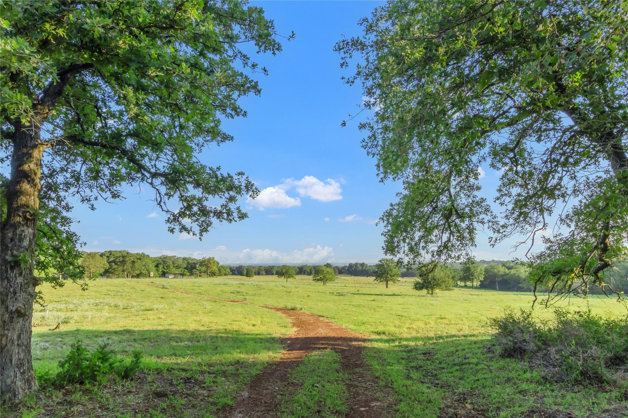 11789 Fm-2095 Highway, Gause, TX 77857