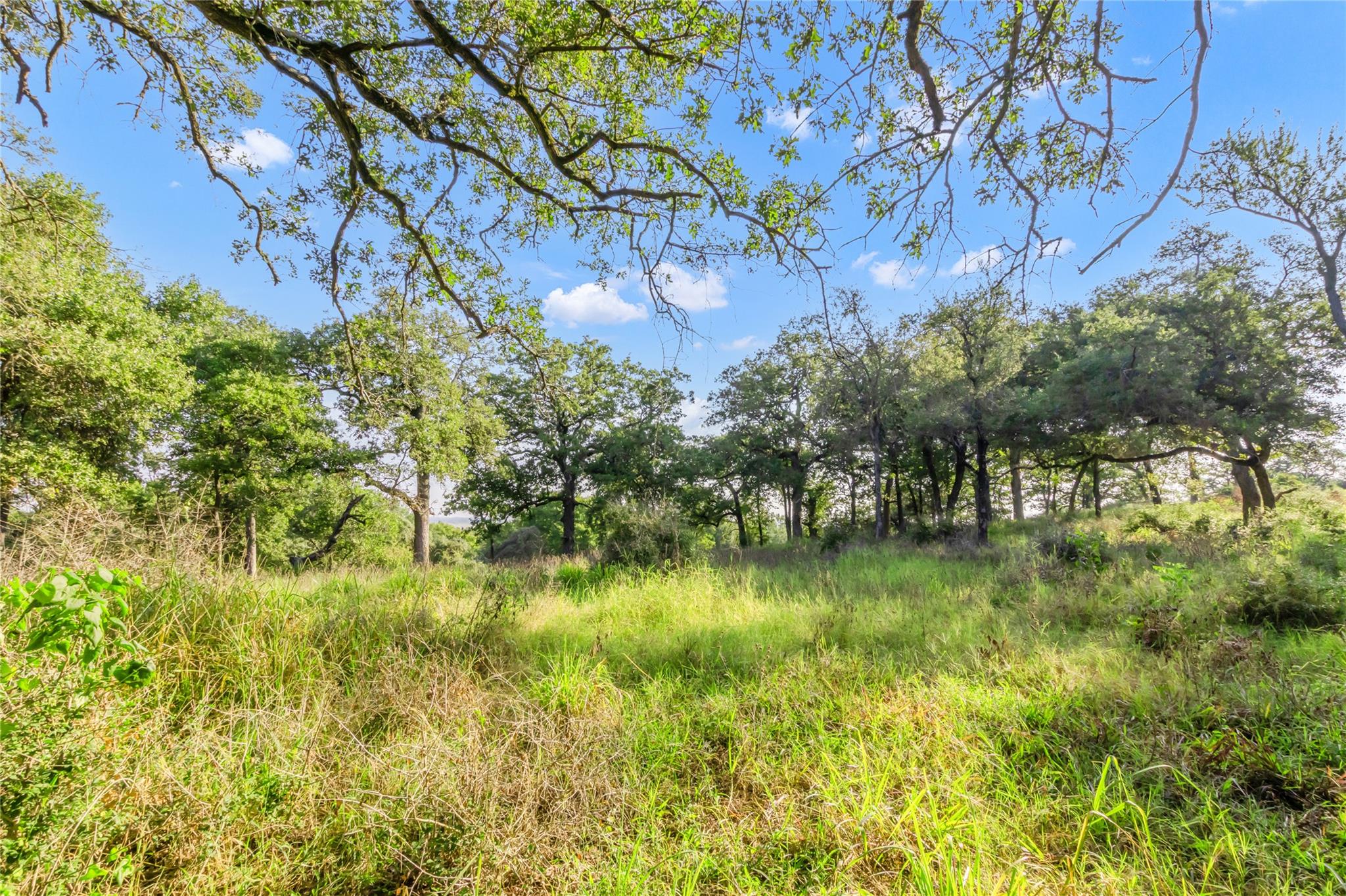 11789 Fm-2095 Highway, Gause, TX 77857