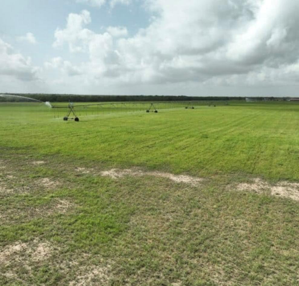 7103 Peck Bush Rd, Moore, TX 78057