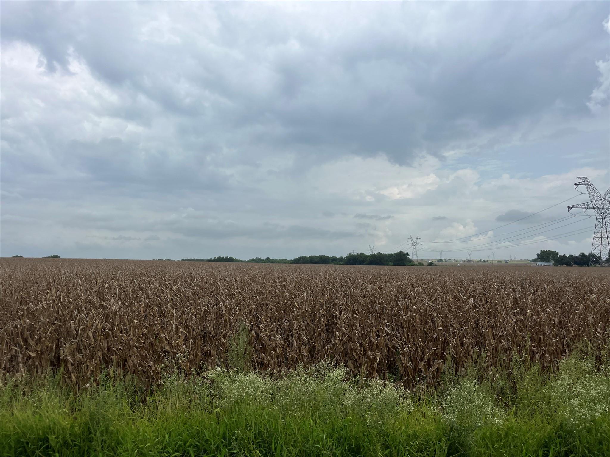 127 County Rd, Georgetown, TX 78626