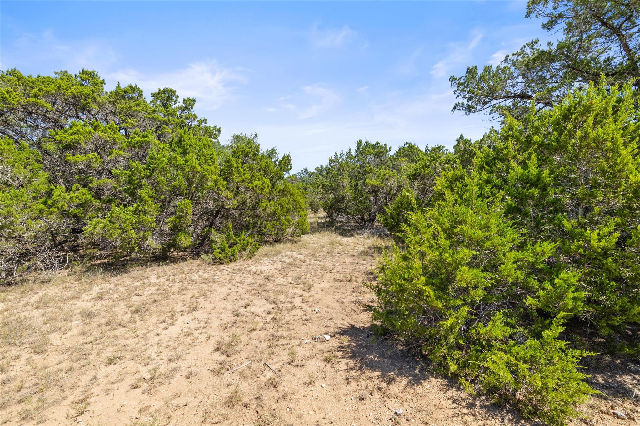 TBD Lipan Run, Fischer, TX 78623