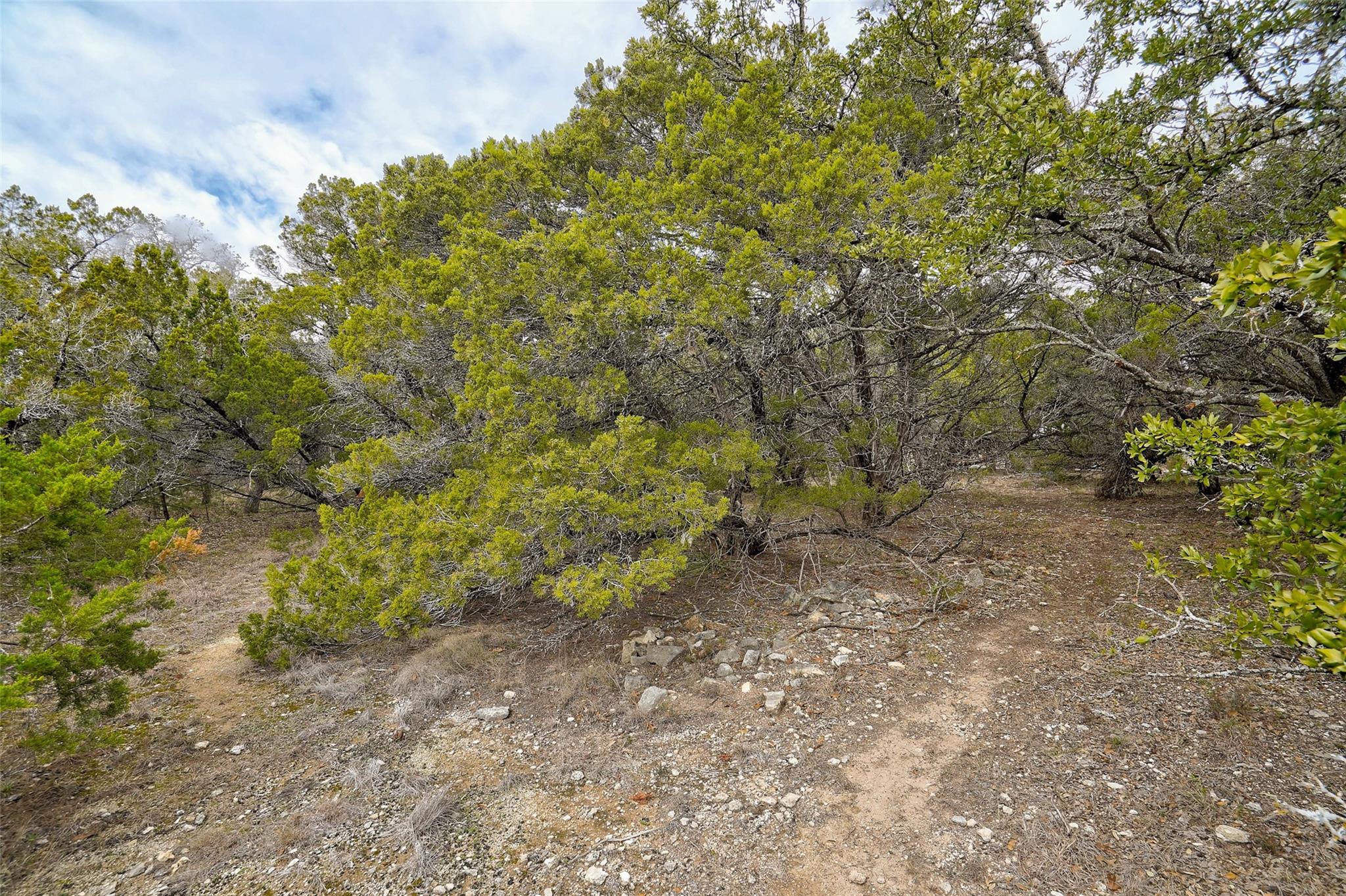 20607 Fawn Ridge Dr, Leander, TX 78645