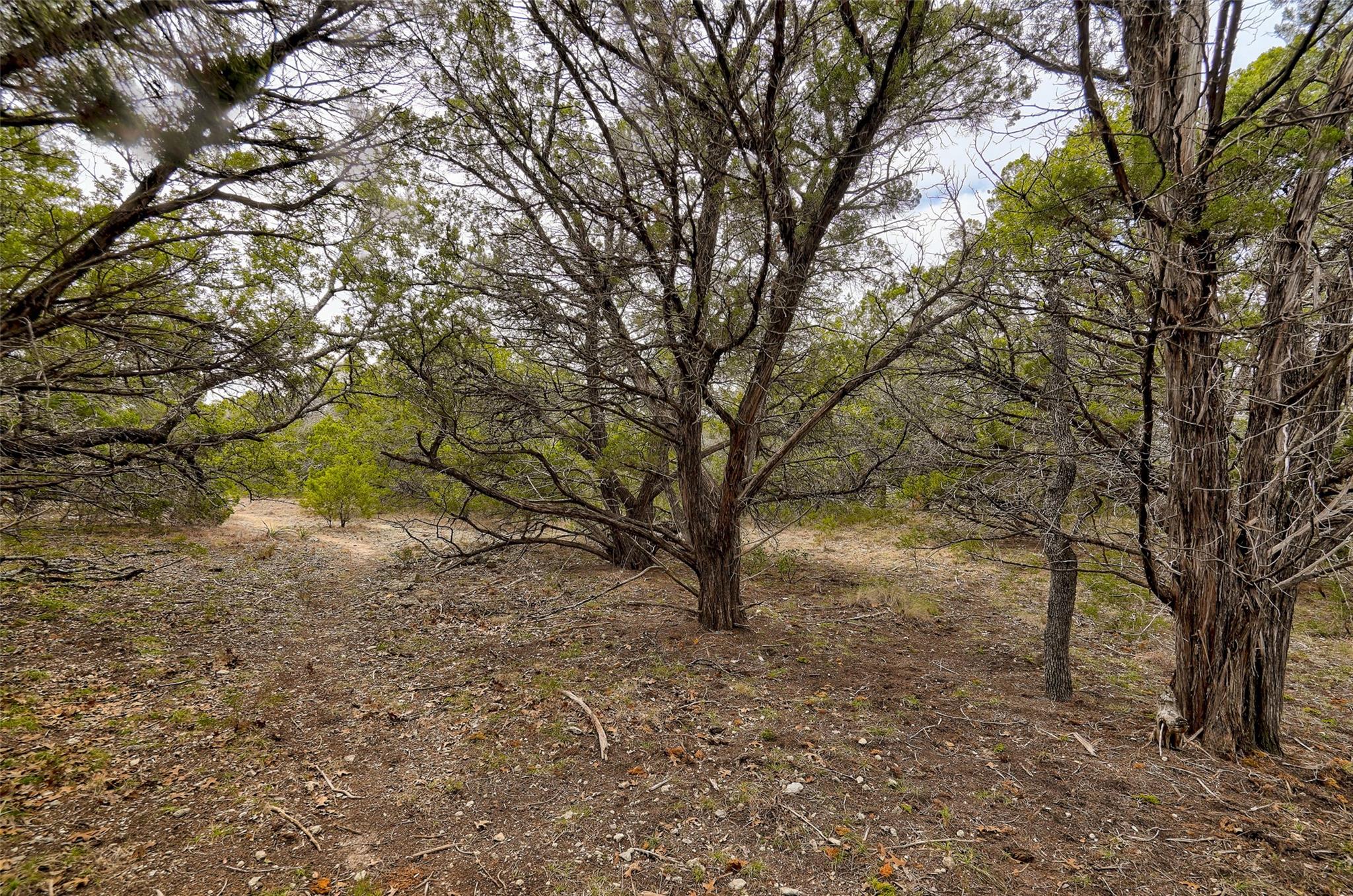 20607 Fawn Ridge Dr, Leander, TX 78645