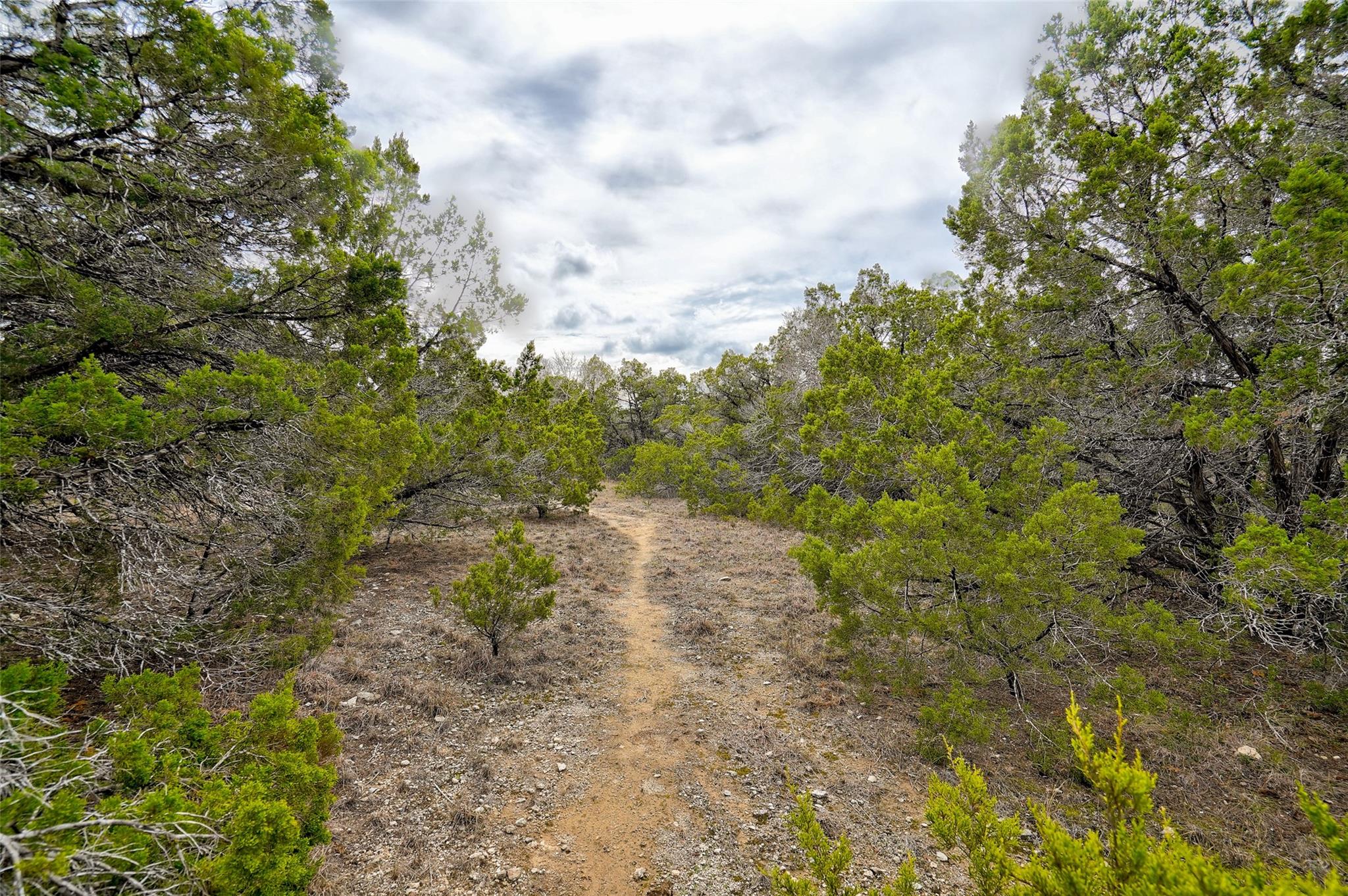 20607 Fawn Ridge Dr, Leander, TX 78645