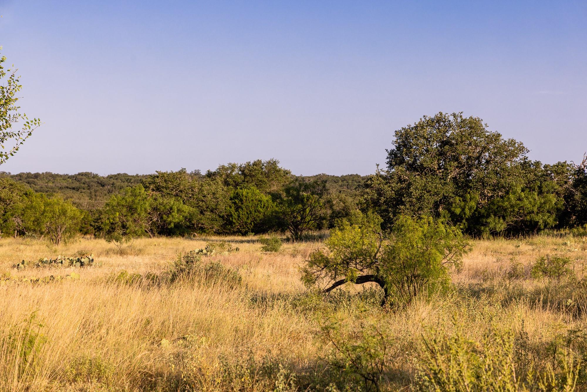 327 Antelope Trl, Eldorado, TX 76936