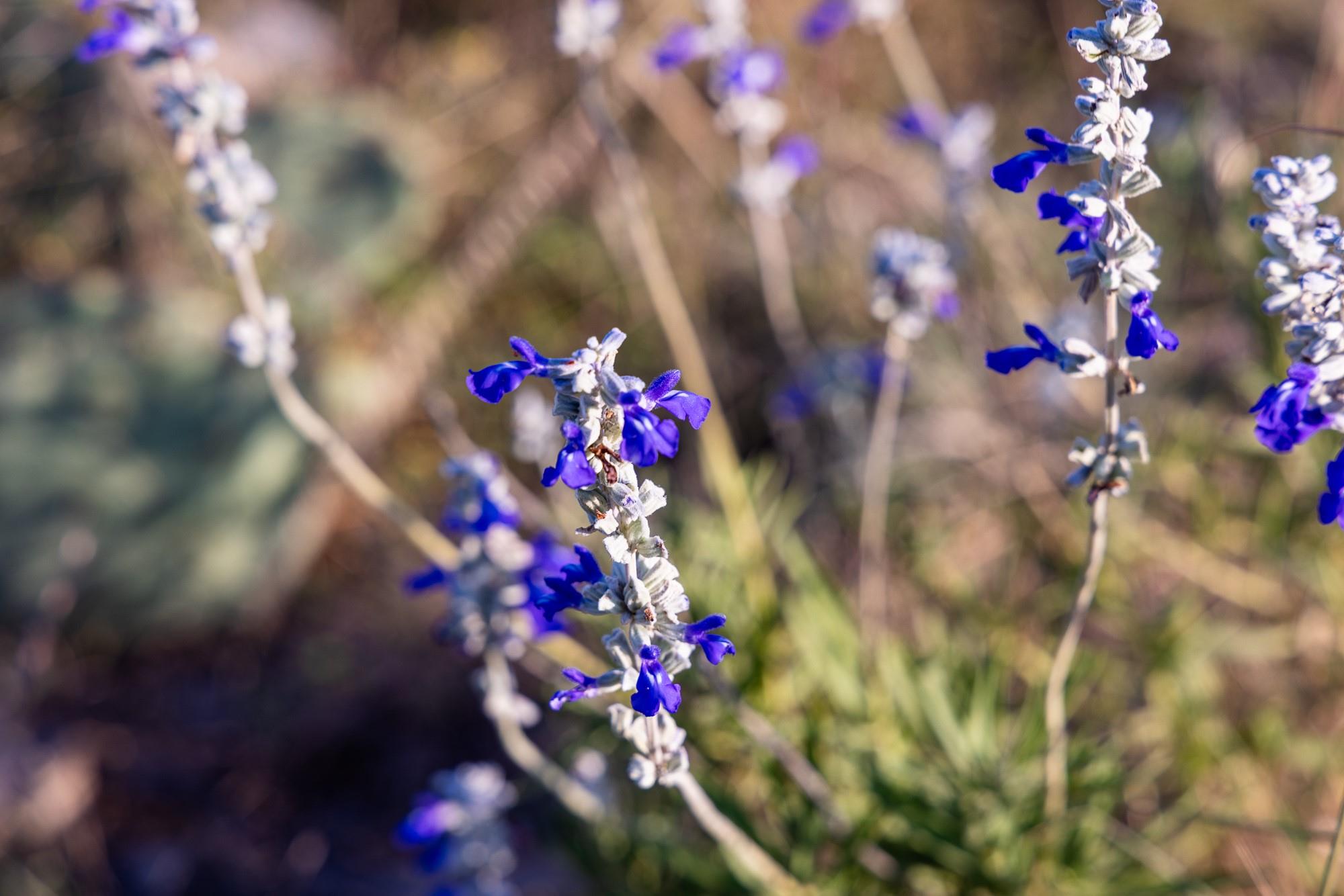 327 Antelope Trl, Eldorado, TX 76936