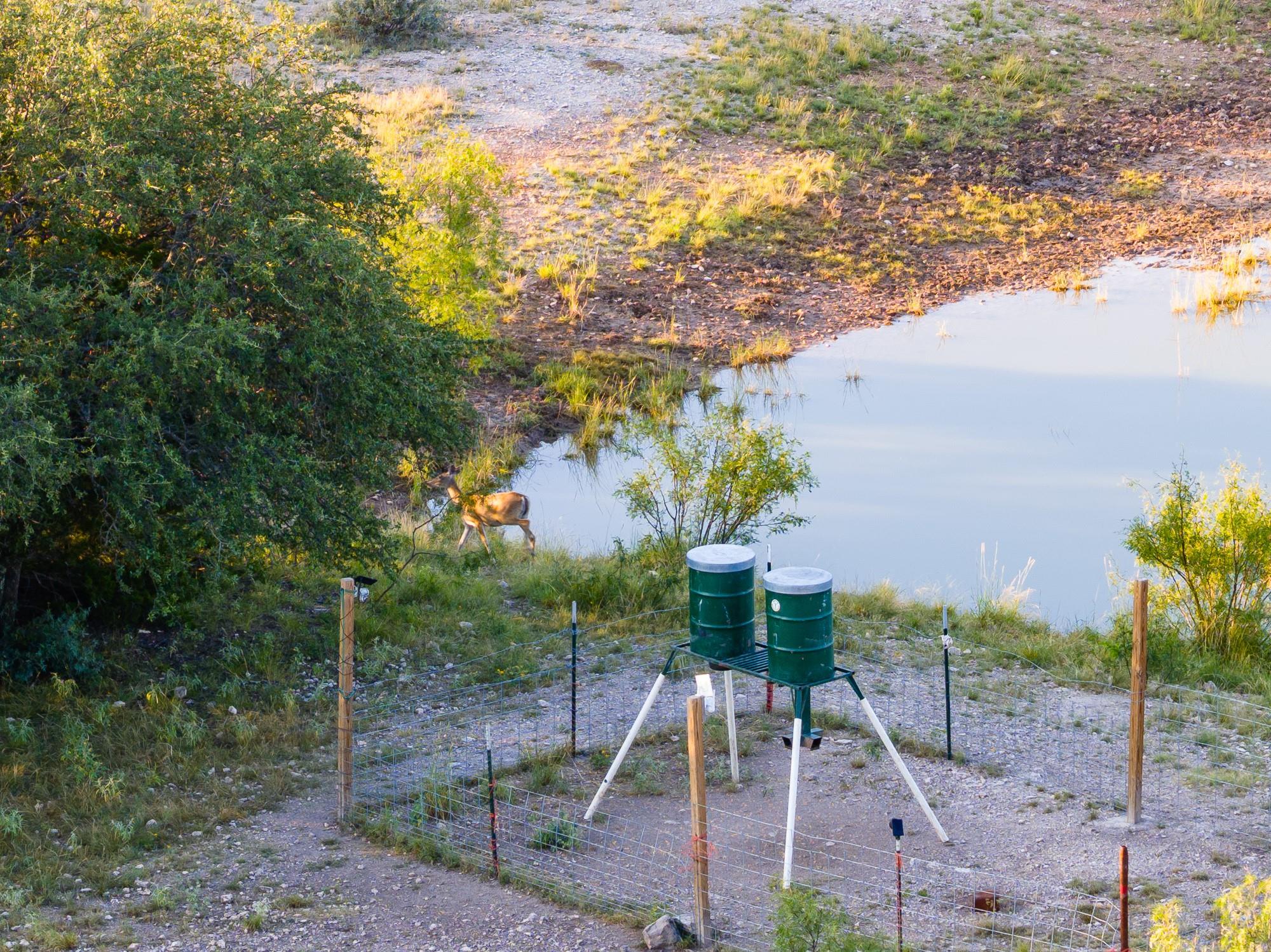 327 Antelope Trl, Eldorado, TX 76936