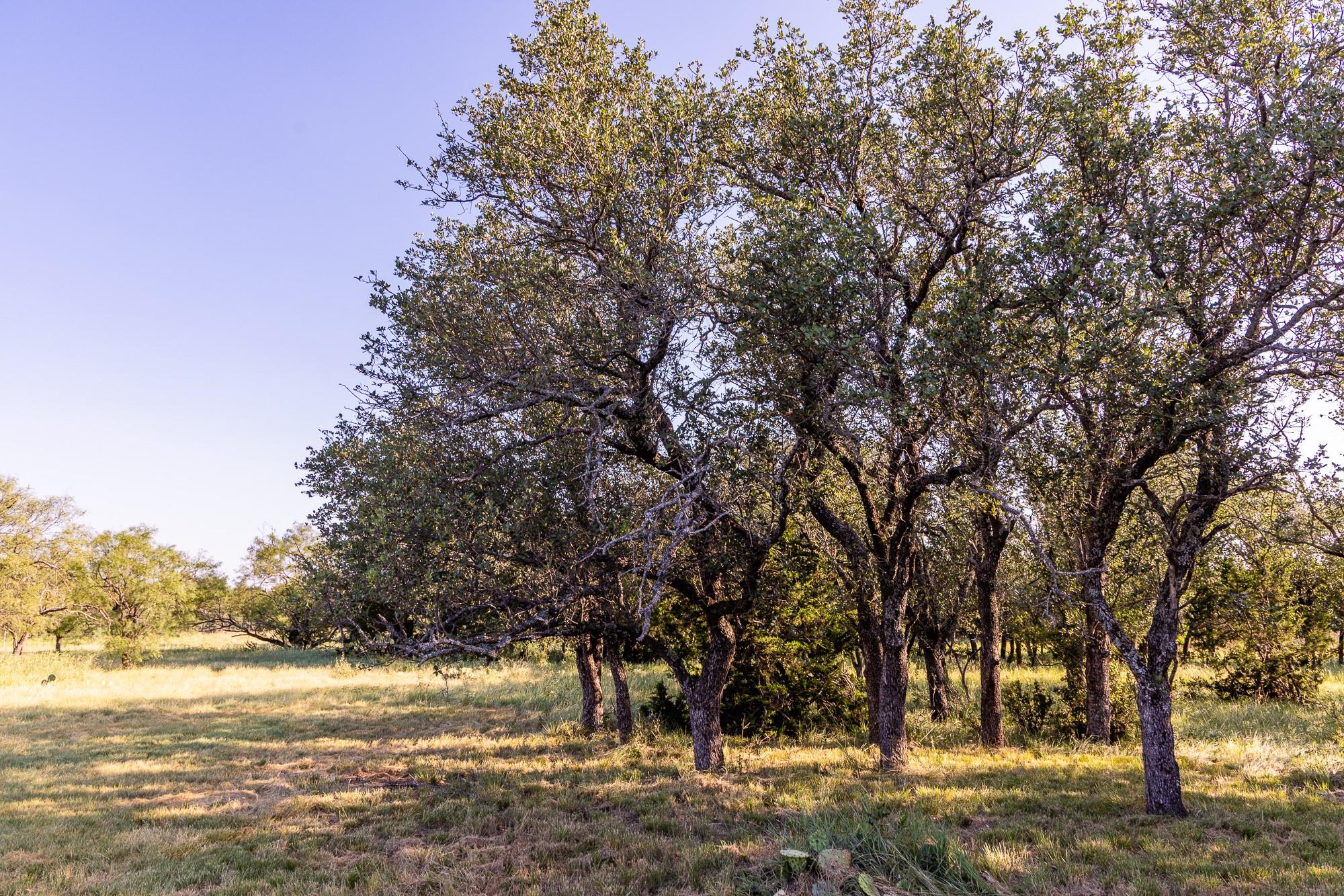 327 Antelope Trl, Eldorado, TX 76936