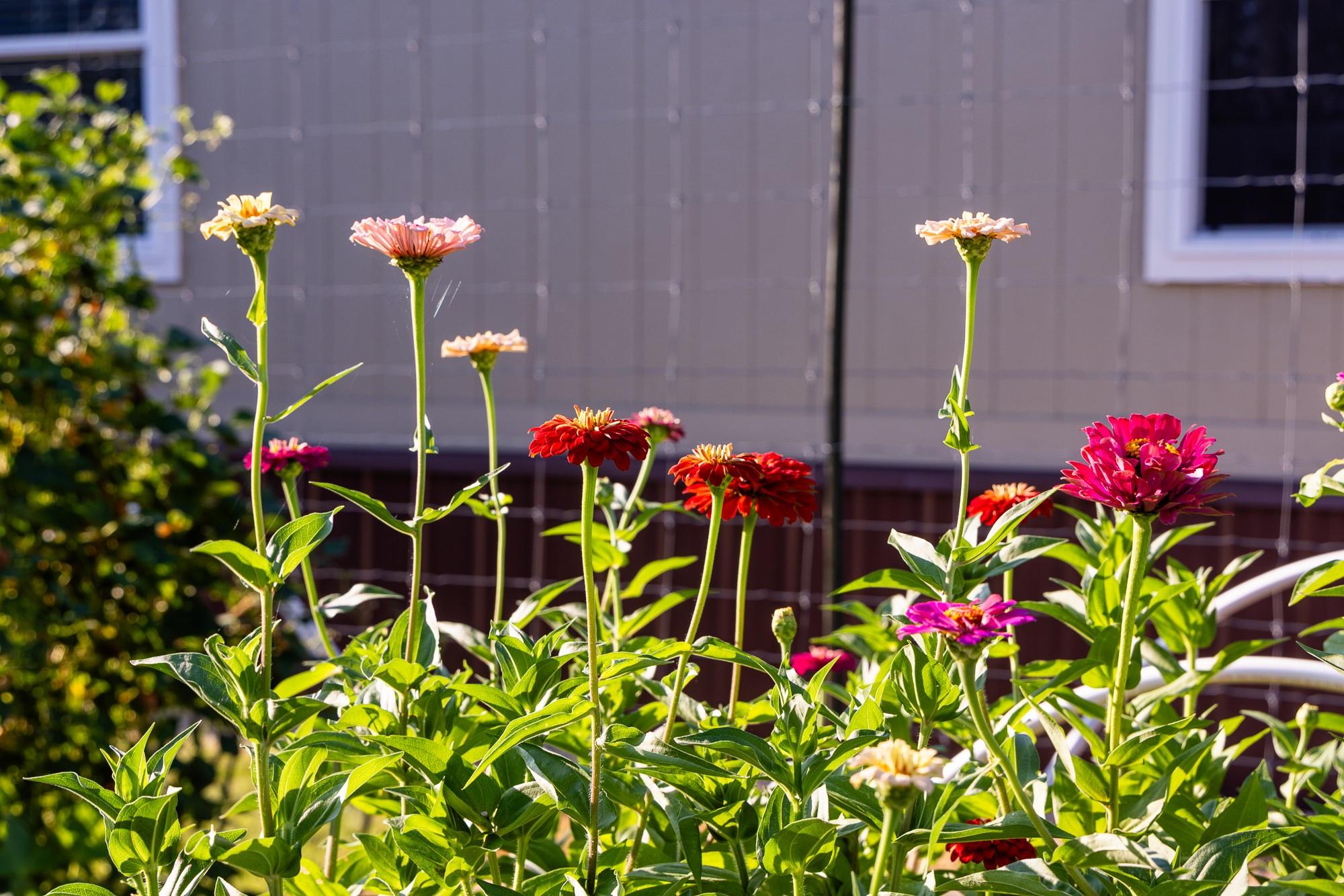 327 Antelope Trl, Eldorado, TX 76936